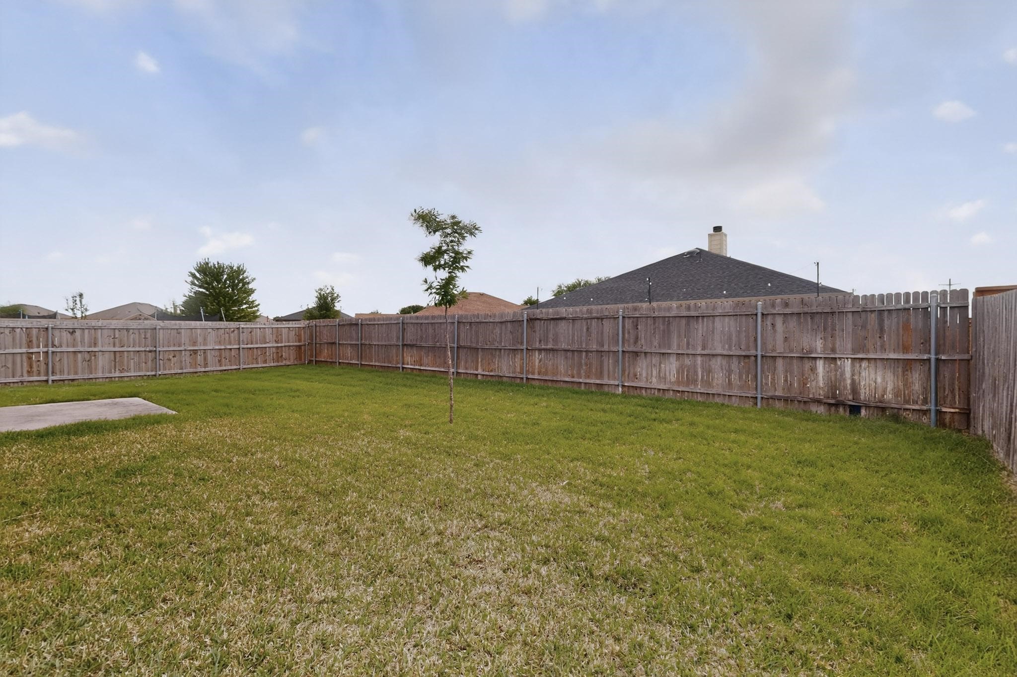 313 Coneflower Drive Fate TX 75087