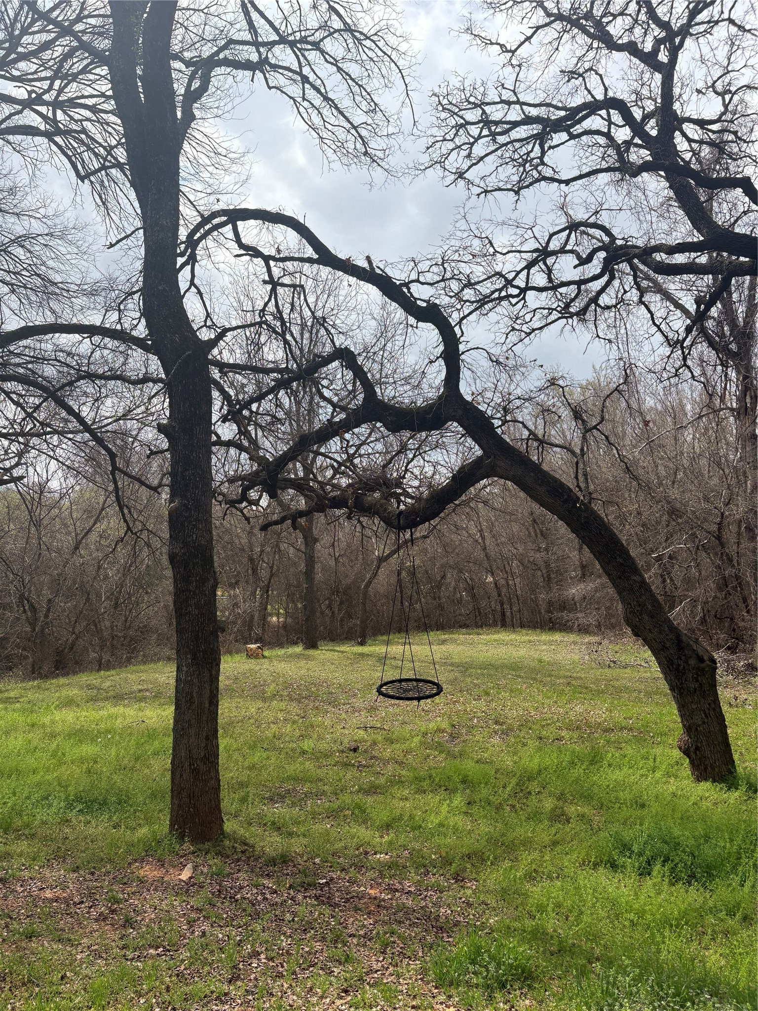 150 Ash Creek Court Springtown TX 76082