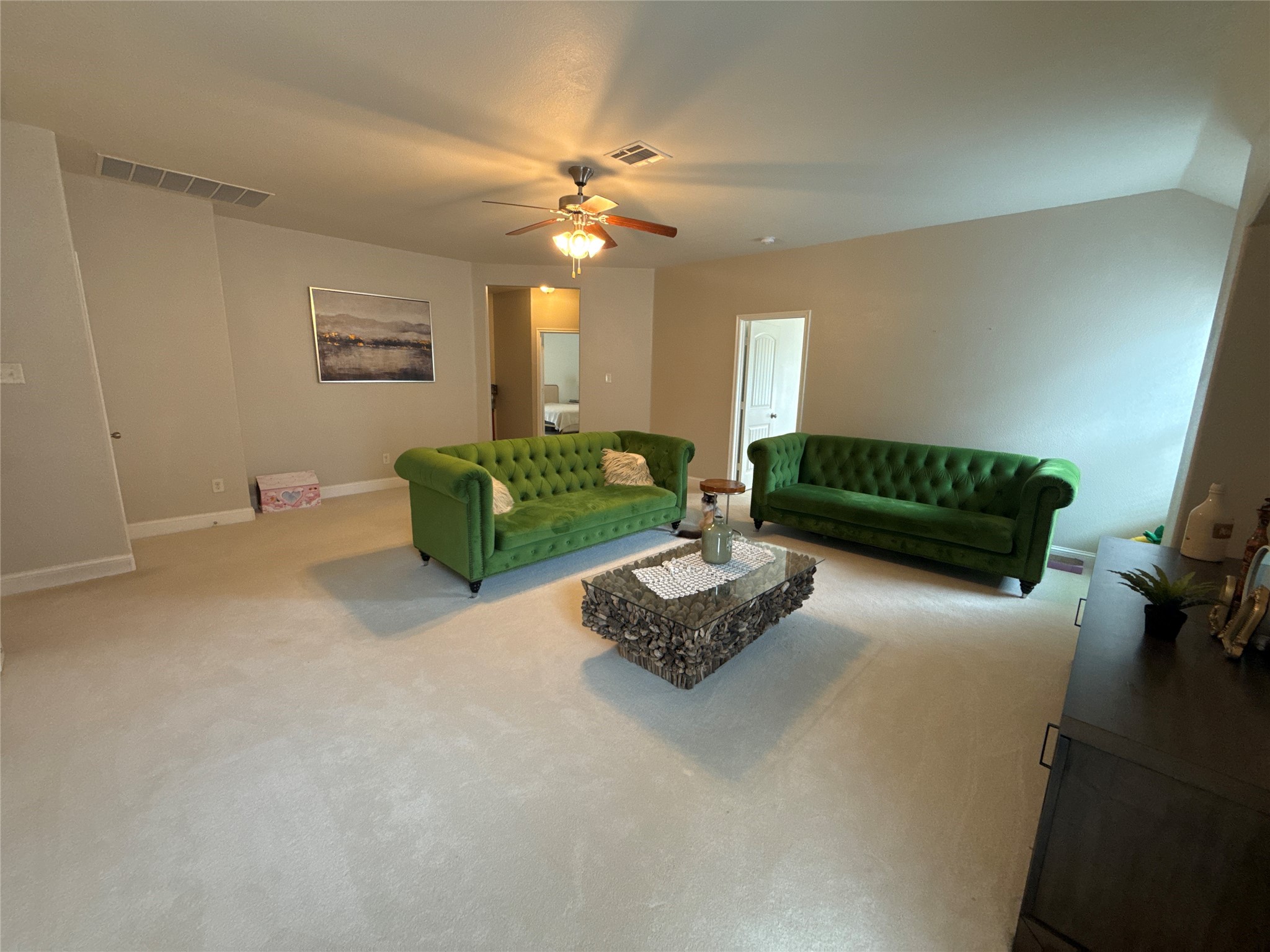 308 Mount Olive Avenue Mckinney TX 75072