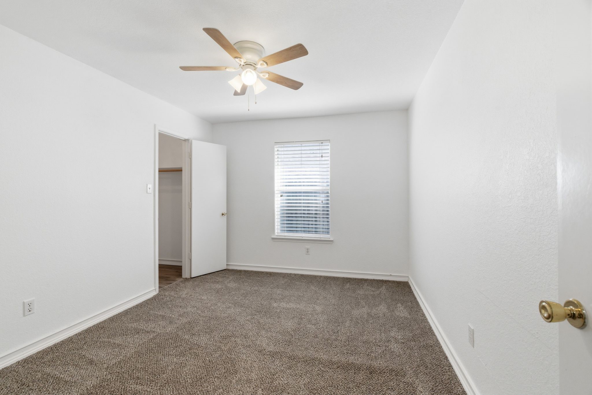 4205 Fernleaf Drive Fort Worth TX 76137