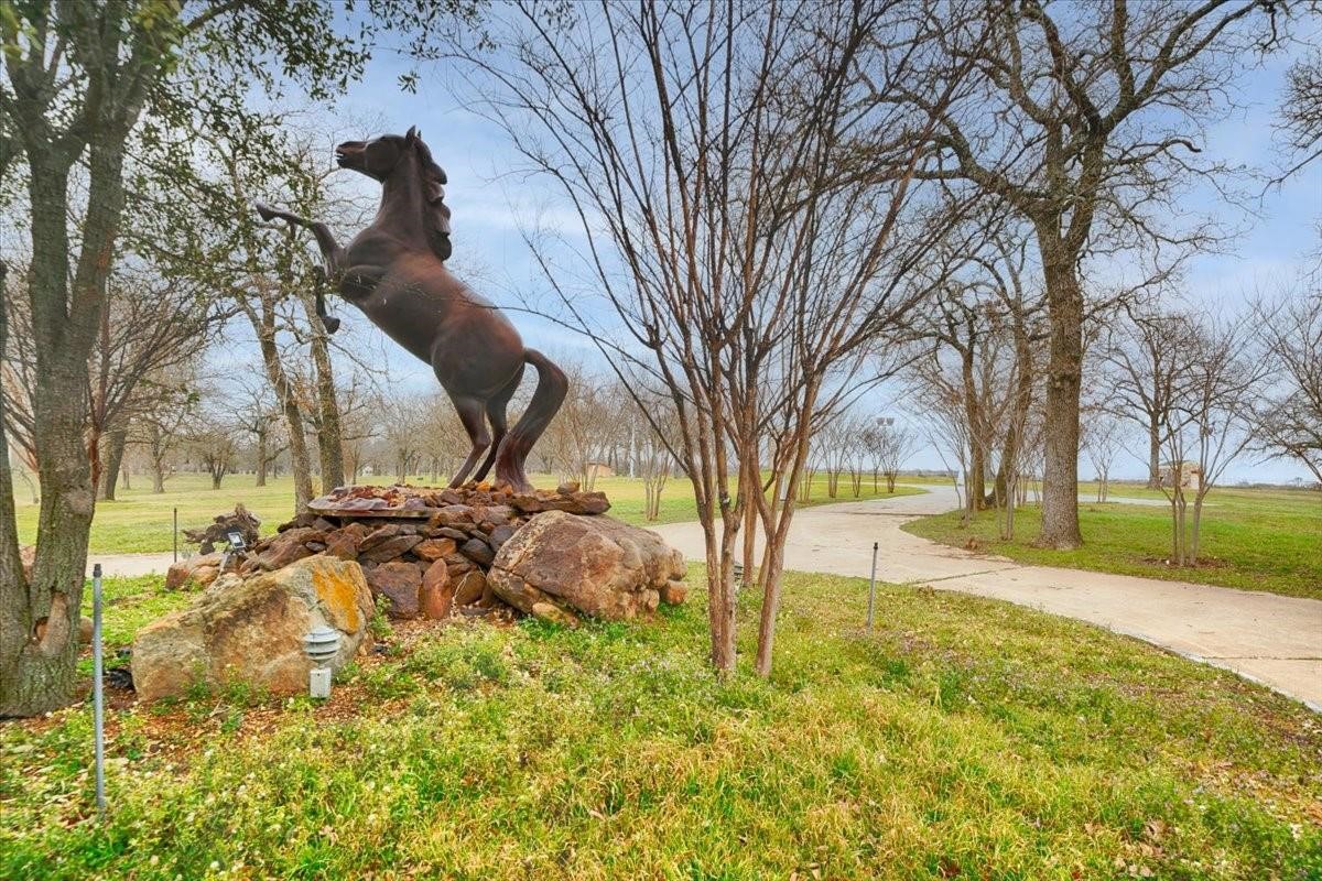 10827 Saint John Road Pilot Point TX 76258
