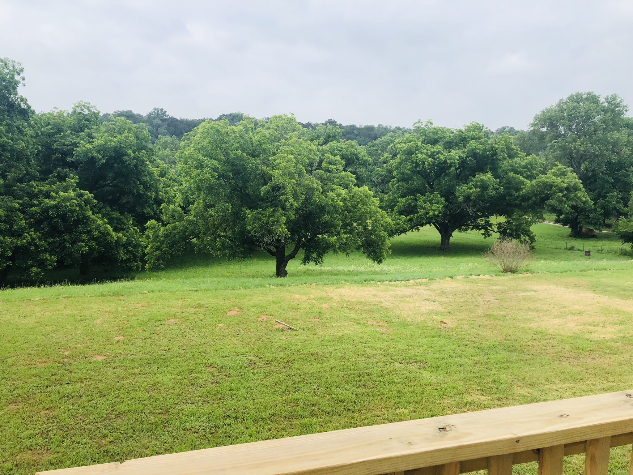 15171 Mitchell Bend Court Granbury TX 76048