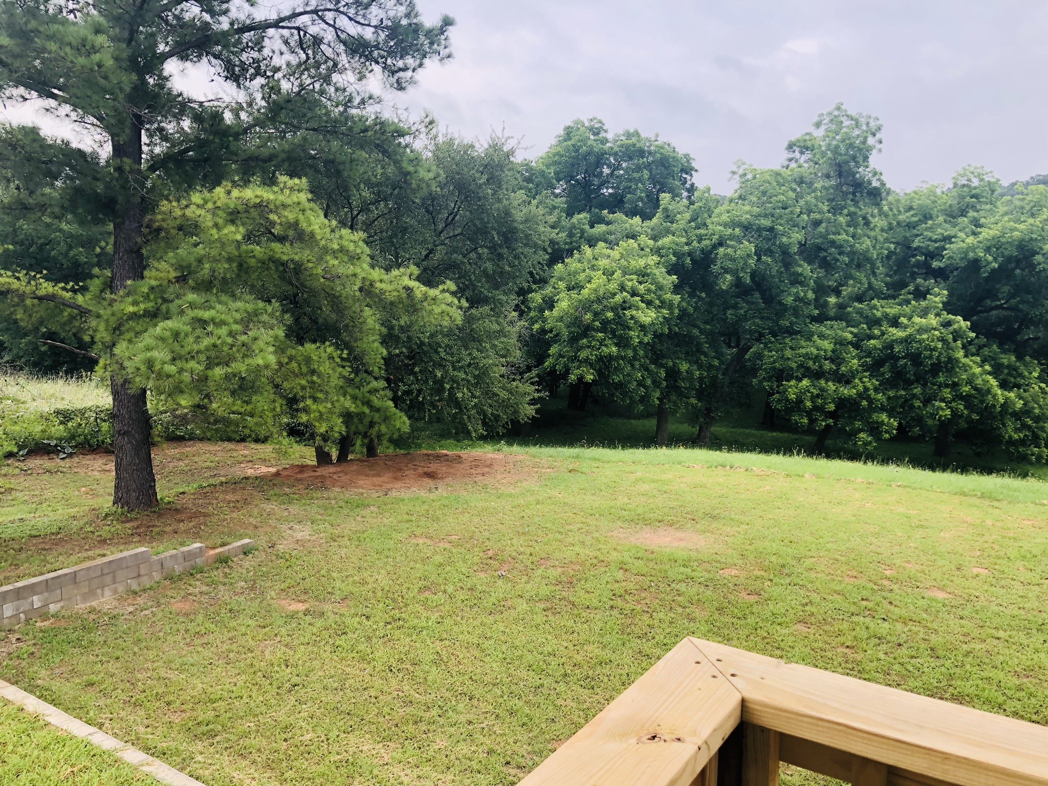15171 Mitchell Bend Court Granbury TX 76048