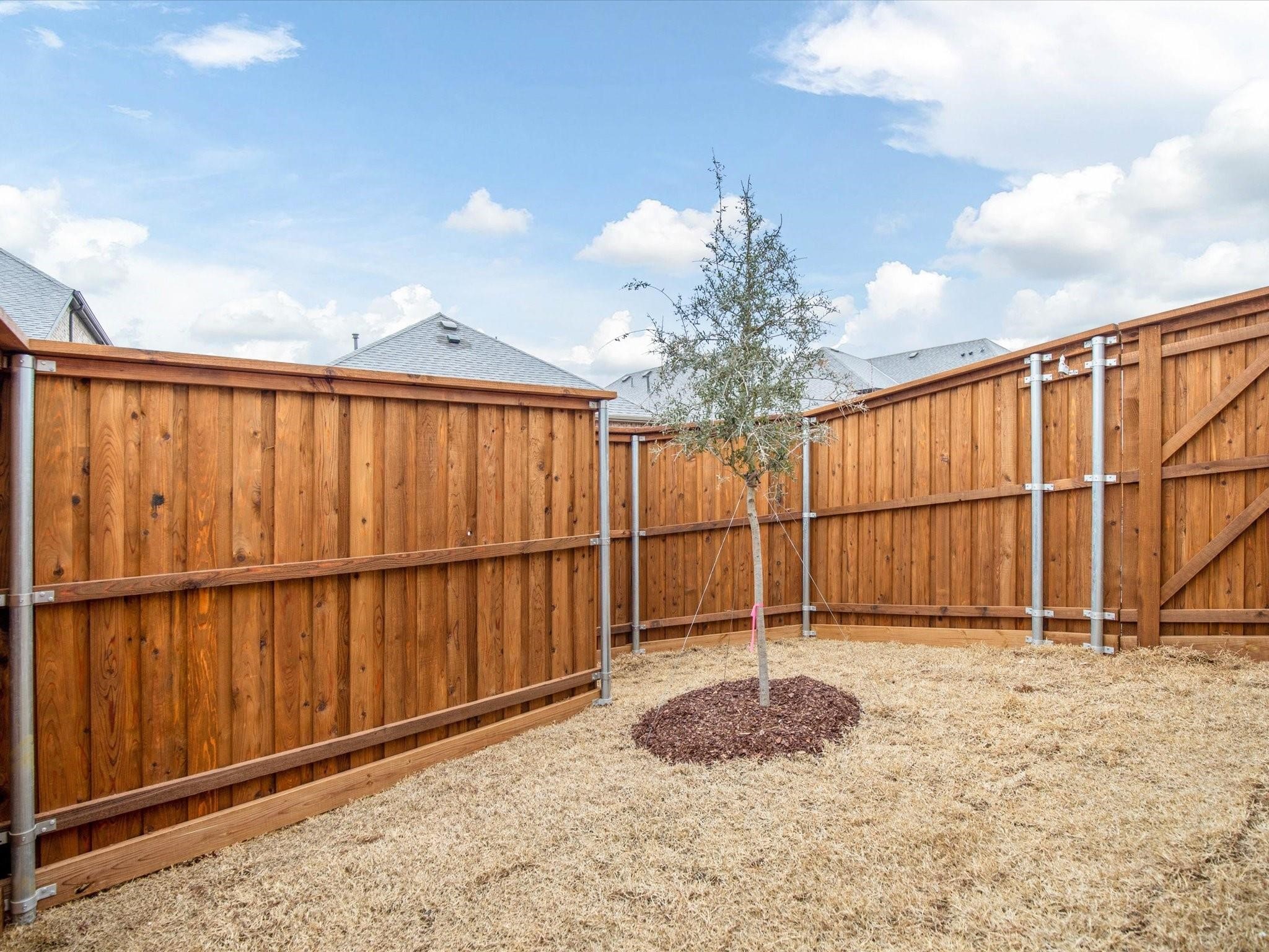 2036 Almassera Drive Little Elm TX 75068