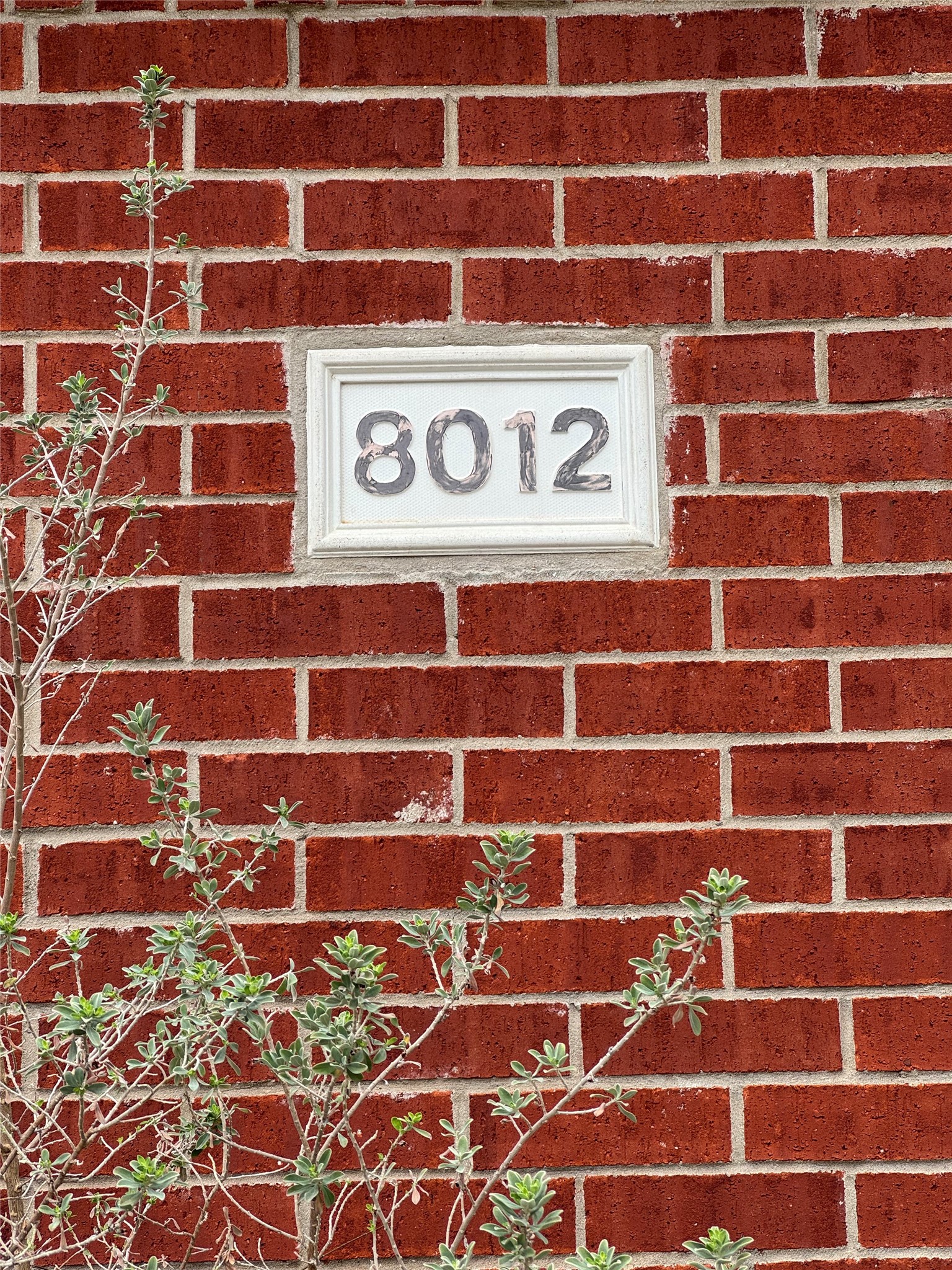 8012 Rancho De La Osa Trail Mckinney TX 75070