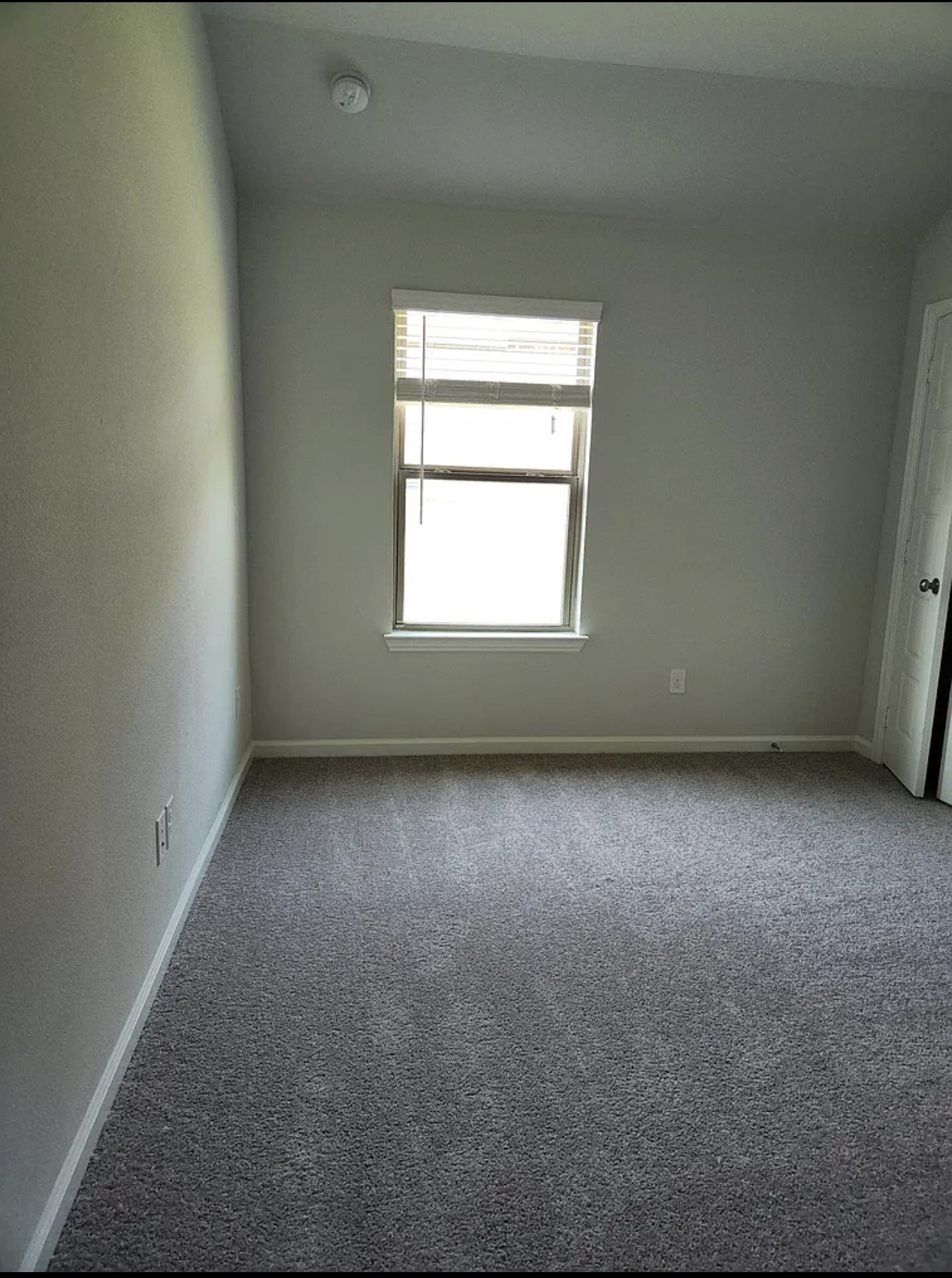 2043 Atlantic Avenue Anna TX 75409