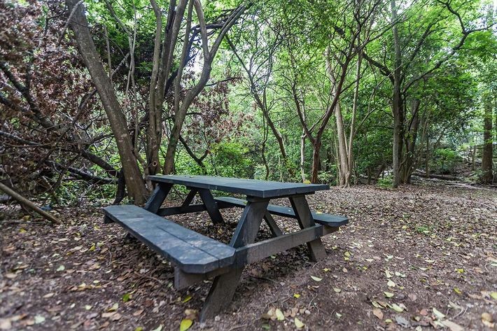 7201 Wood Hollow Drive Austin TX 78731