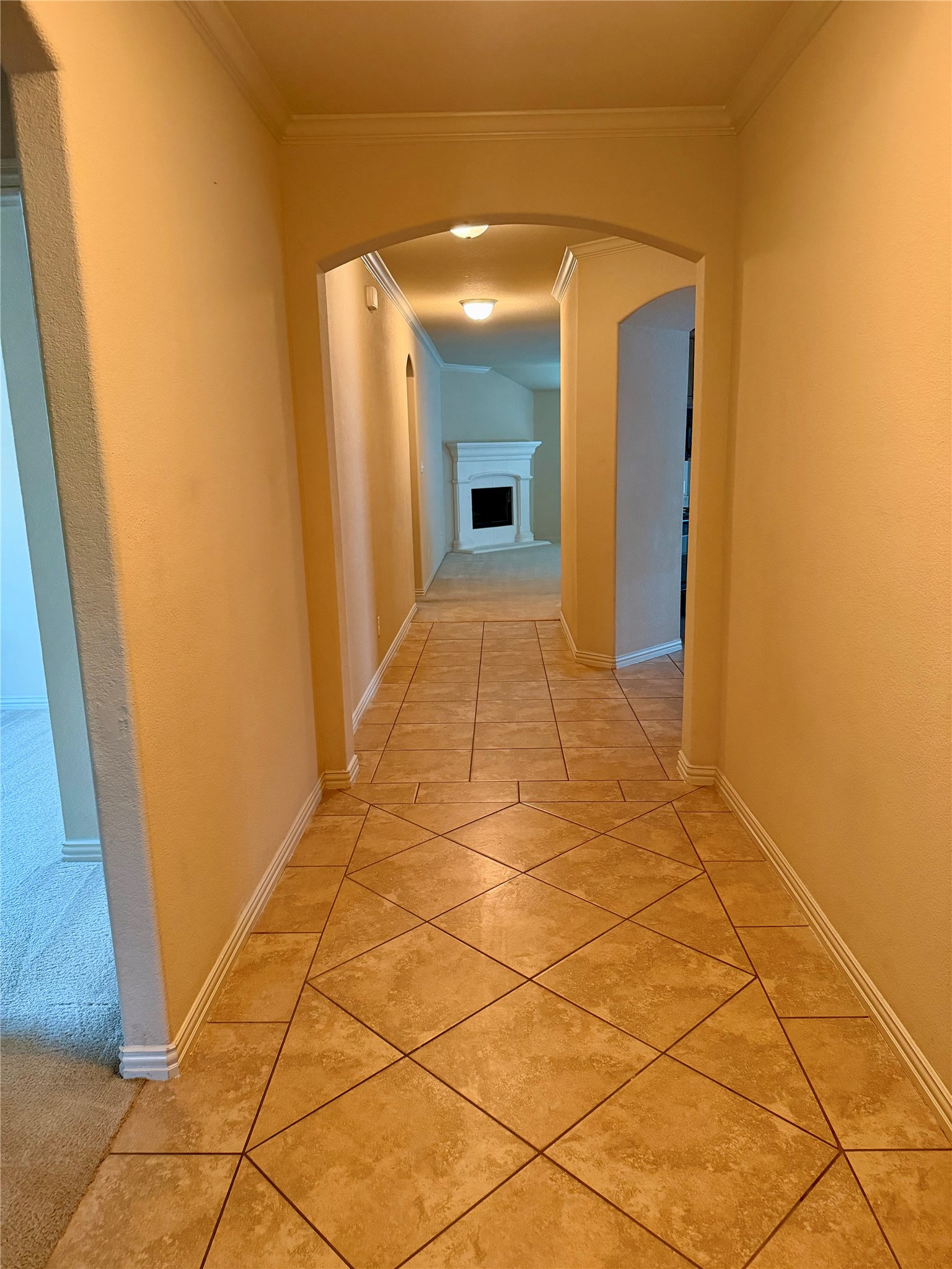 412 Stonecreek Drive Princeton TX 75407