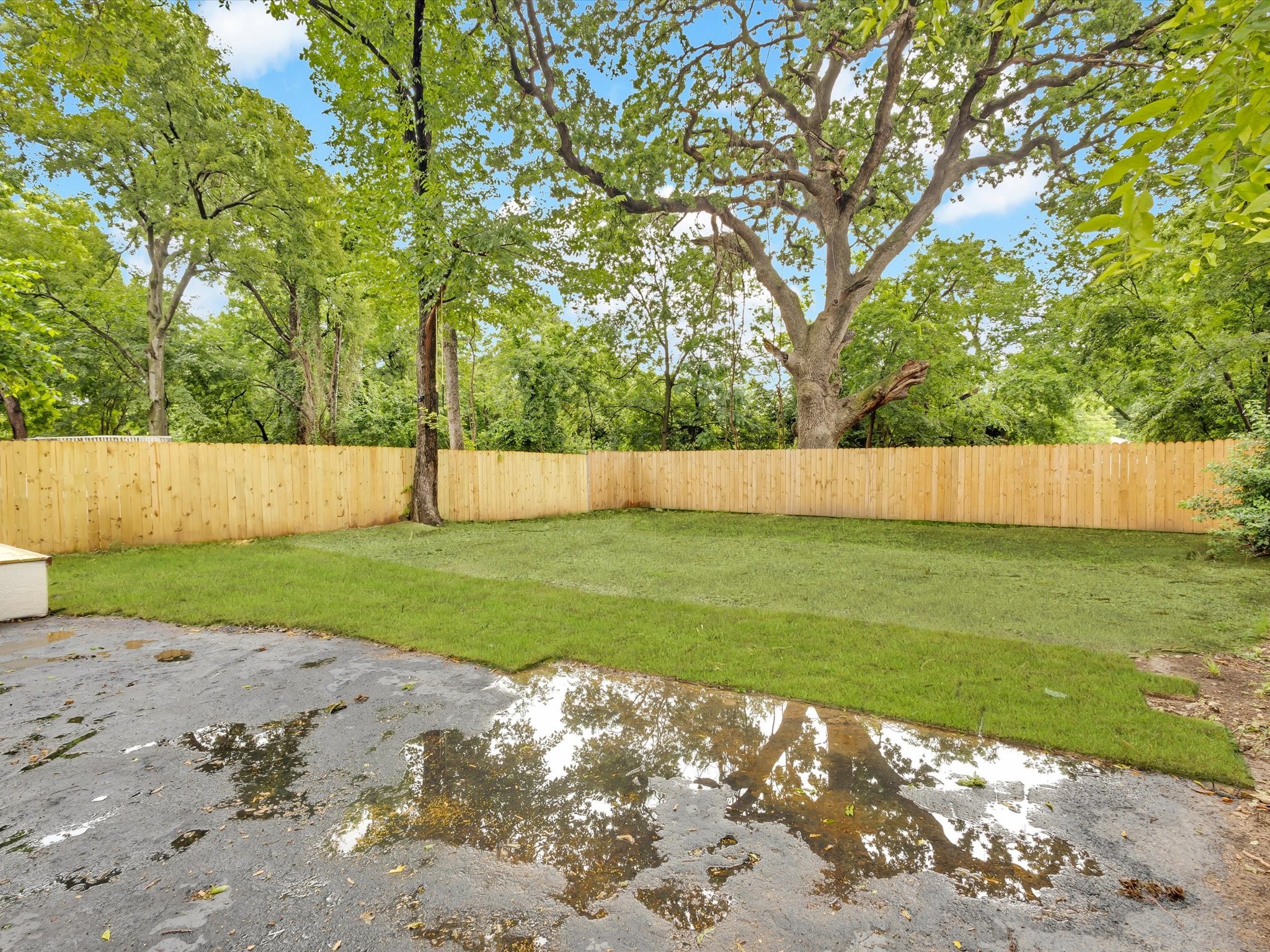 3526 Elsie Faye Heggins Street Dallas TX 75210
