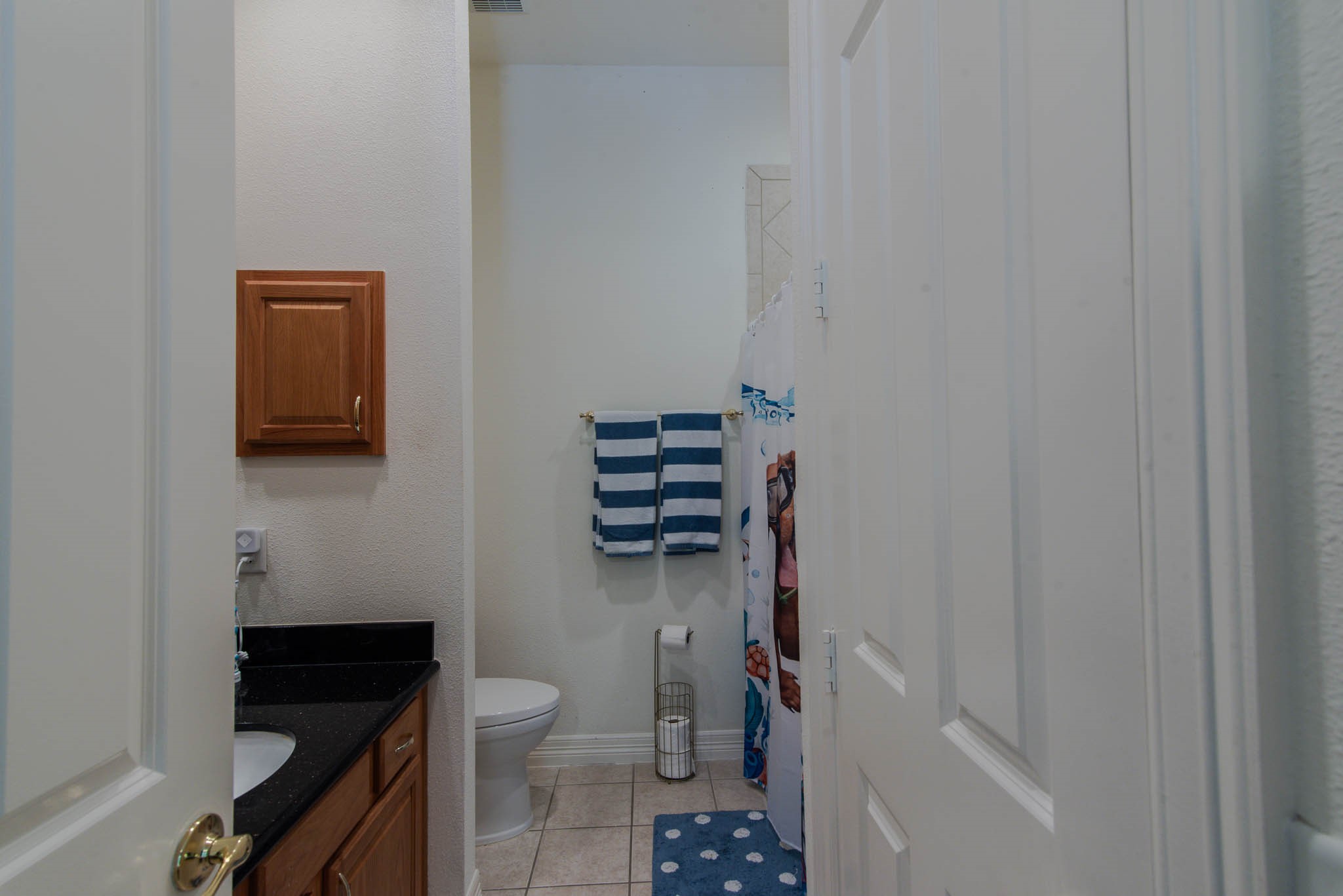 1428 Clarinet Lane Plano TX 75074