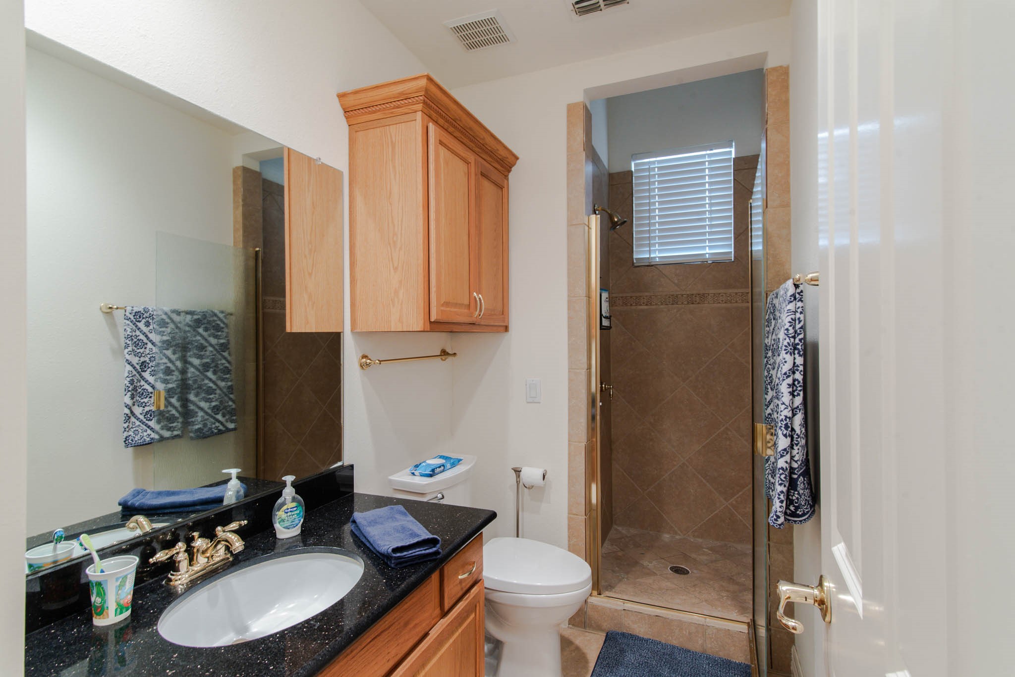 1428 Clarinet Lane Plano TX 75074