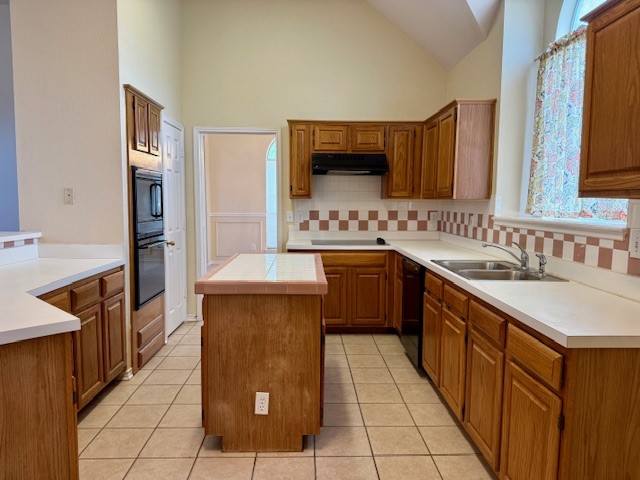 2705 Water Oak Drive Grand Prairie TX 75052