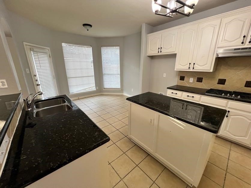 3904 Brush Creek Trail Mckinney TX 75070