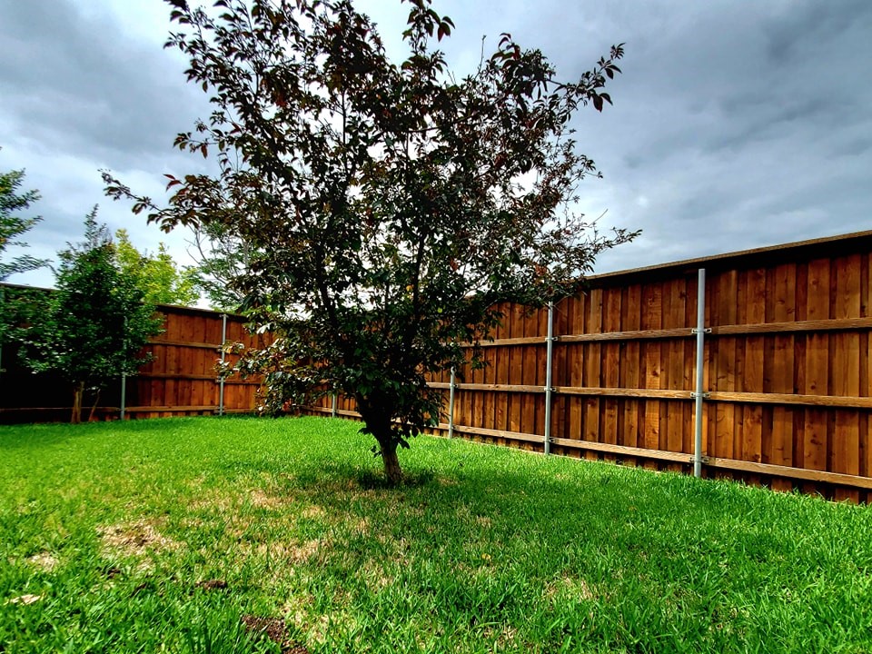 4537 Oak Shores Drive Plano TX 75024