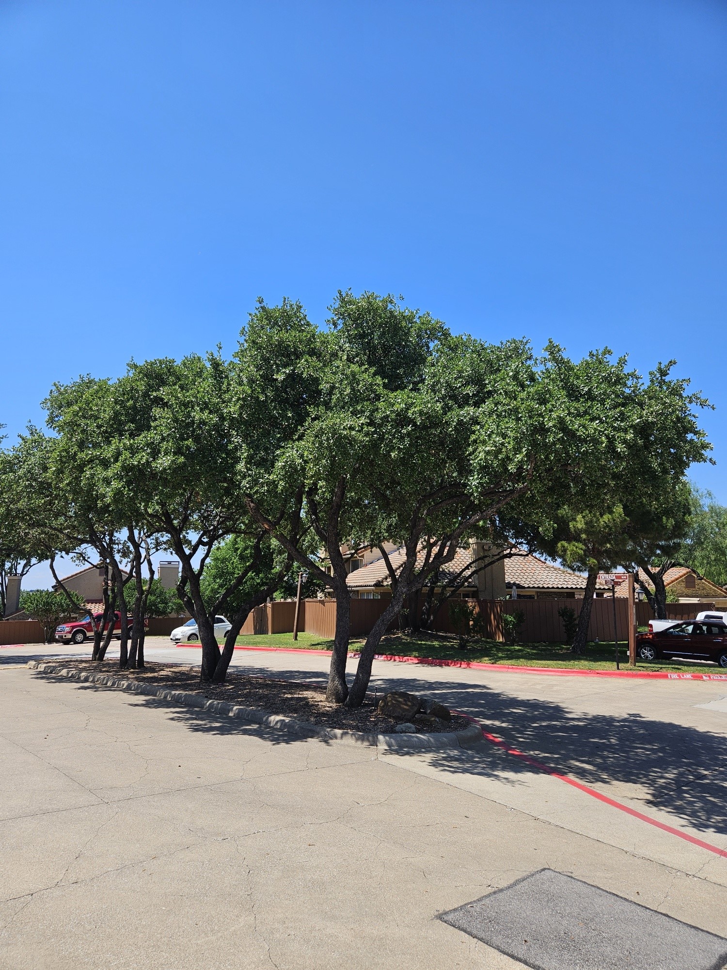 4260 Madera Road Irving TX 75038