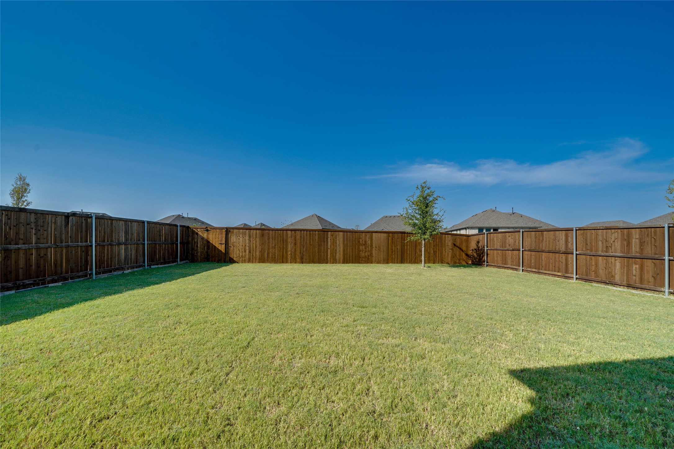 1409 Ladys Mantle Way Celina TX 75078