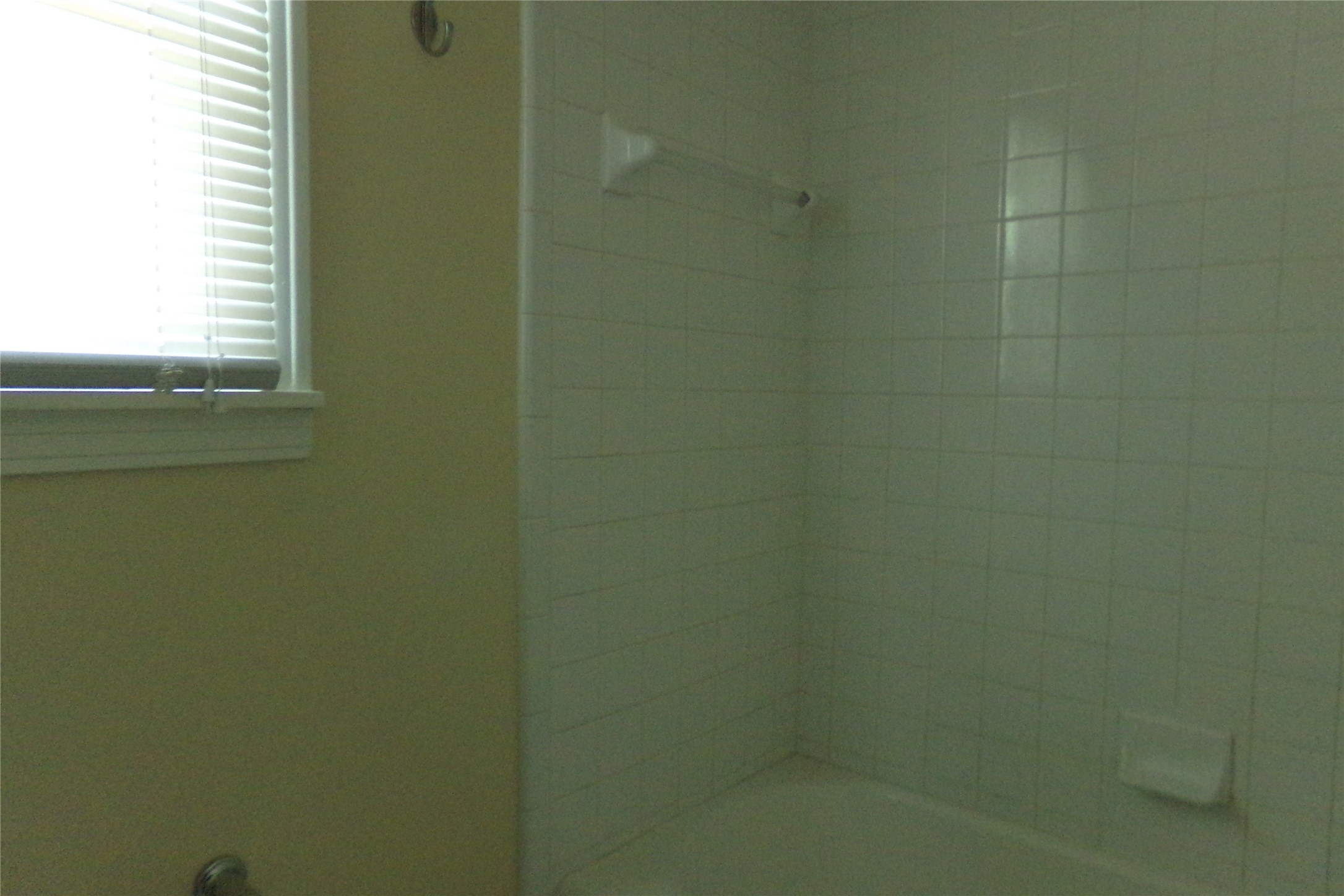 2007 Tremont Avenue Fort Worth TX 76107