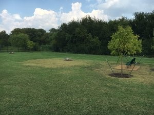 704 Rivers Creek Lane Little Elm TX 75068