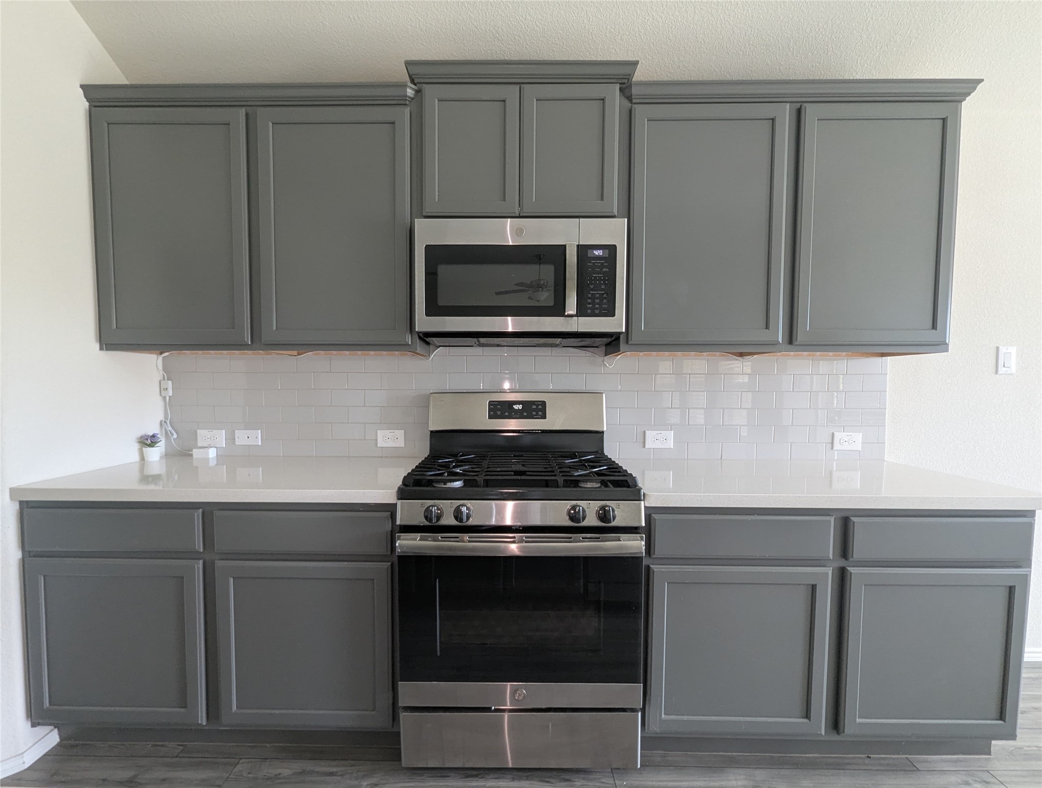 1740 Alamandine Avenue Cross Roads TX 76227