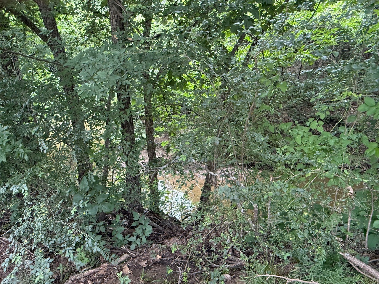 1601 Skyline Drive Sherman TX 75092