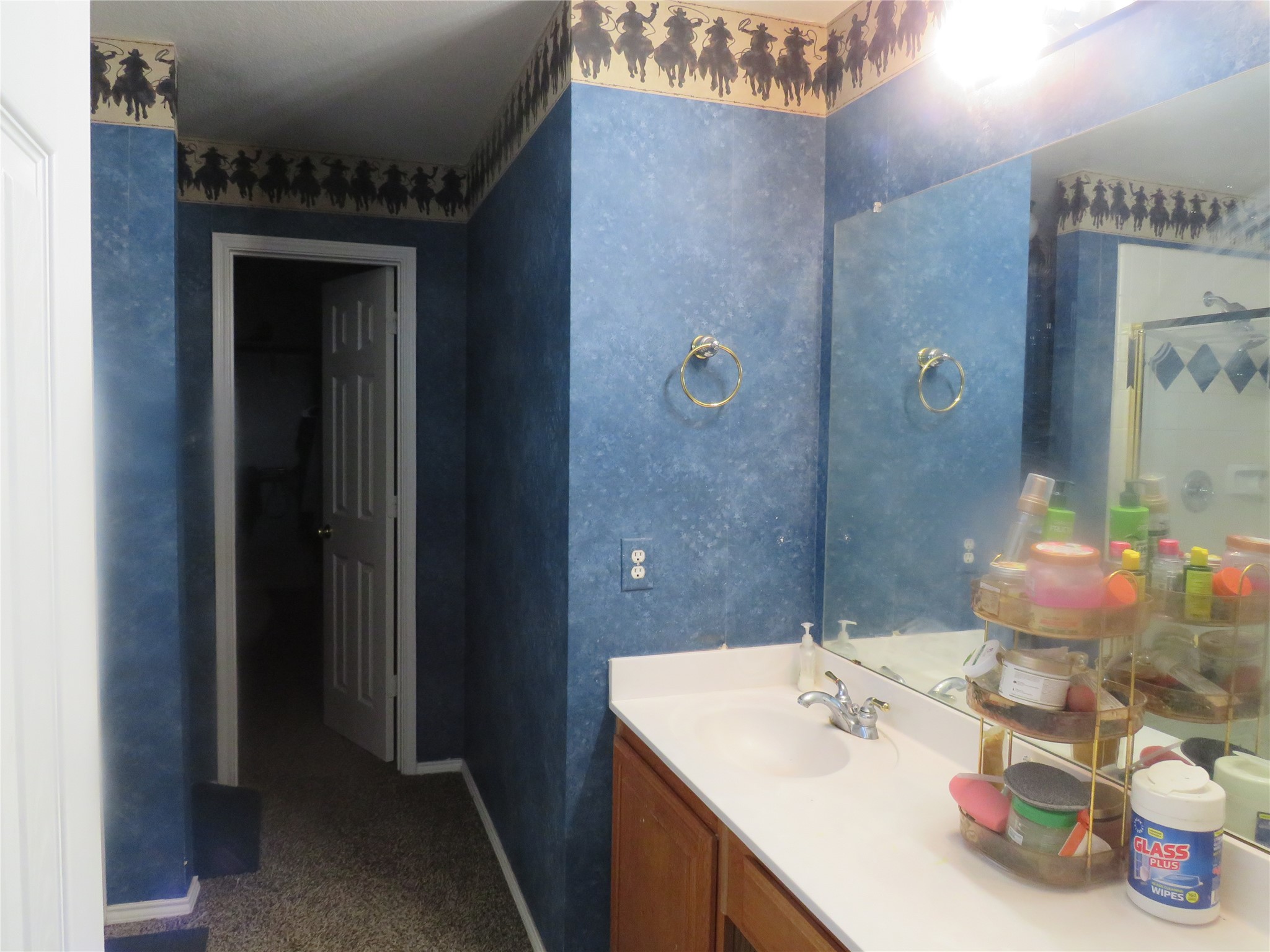3104 Deleon Drive Plano TX 75025