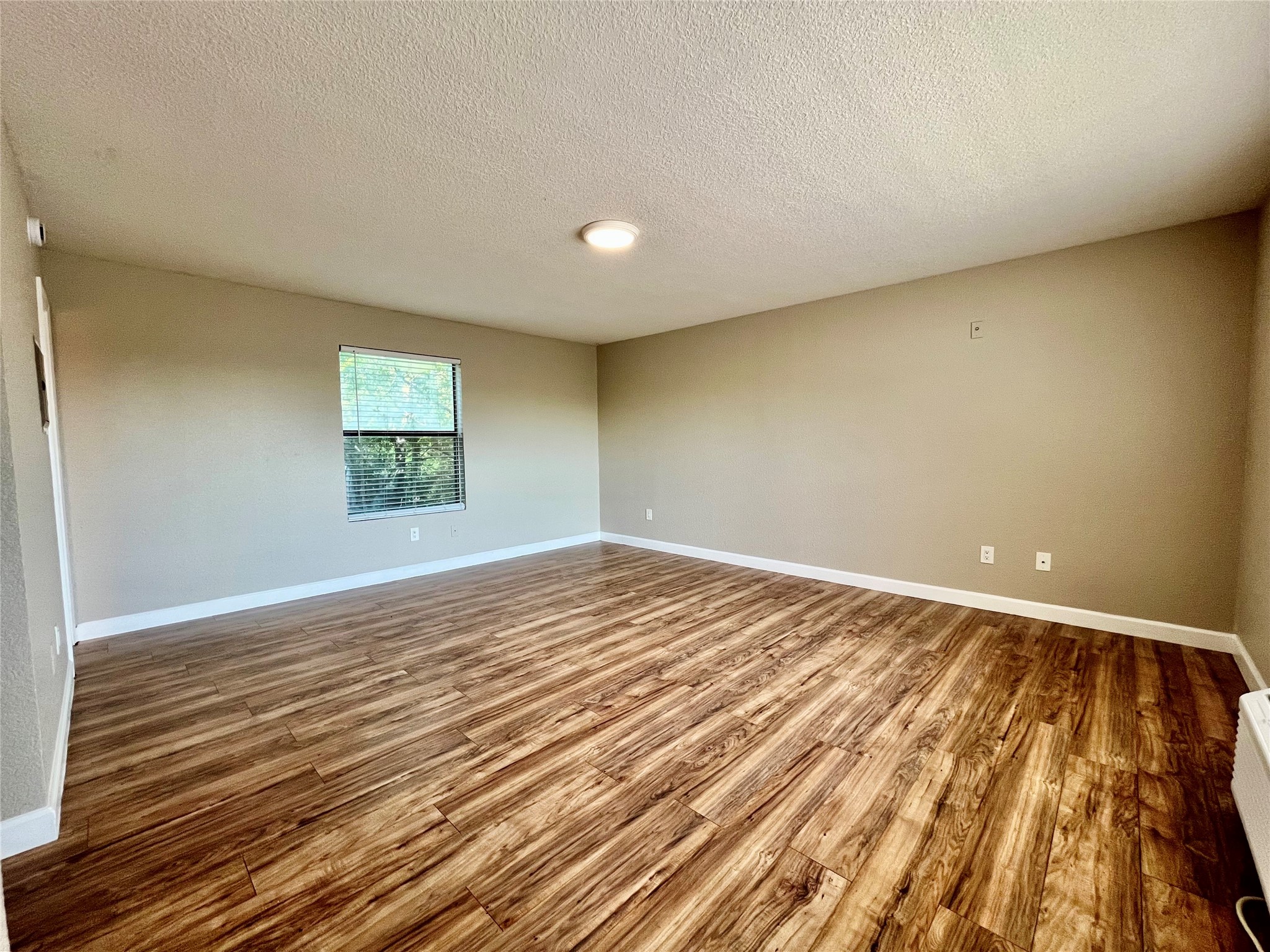 701 W Sycamore Street Denton TX 76201