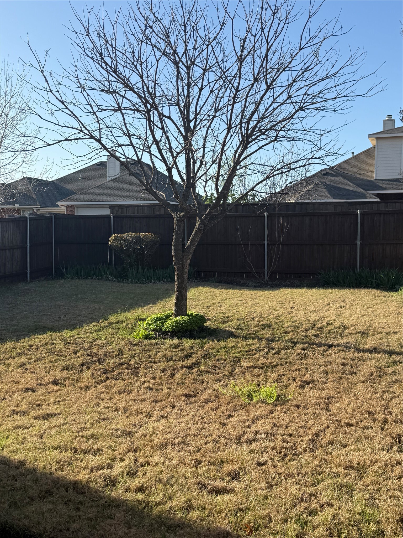 4606 Rosewood Lane Sachse TX 75048