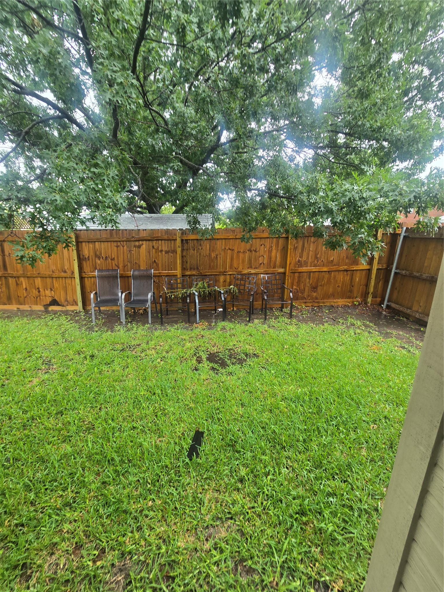 7513 Beverly Drive Rowlett TX 75089