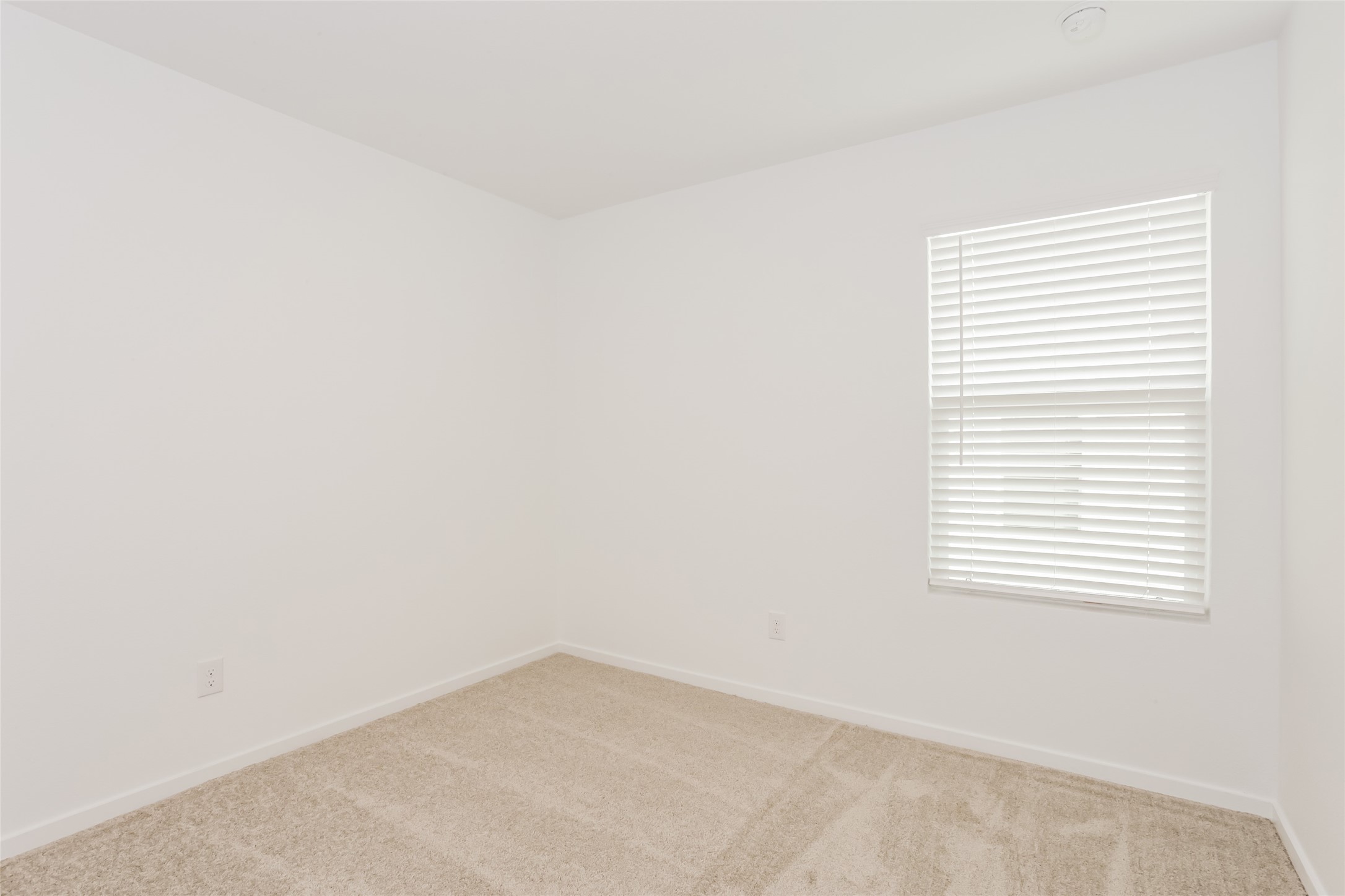 1316 Amapola Drive Haslet TX 76052