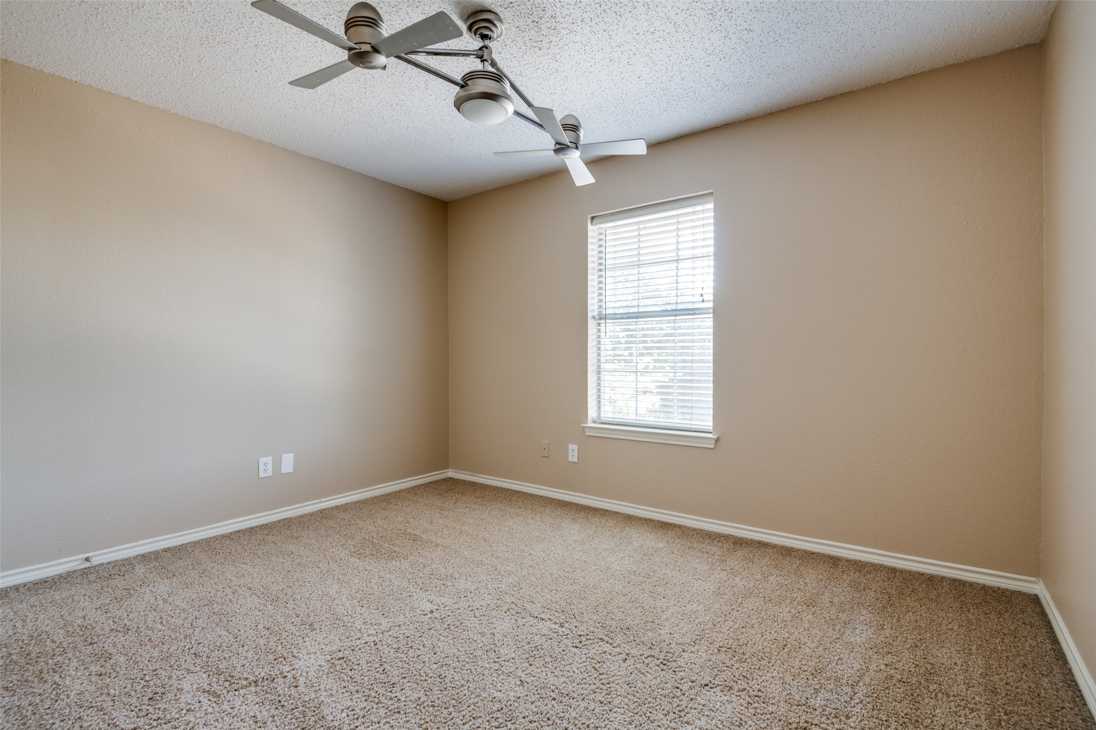 8216 Rincon Street Frisco TX 75035