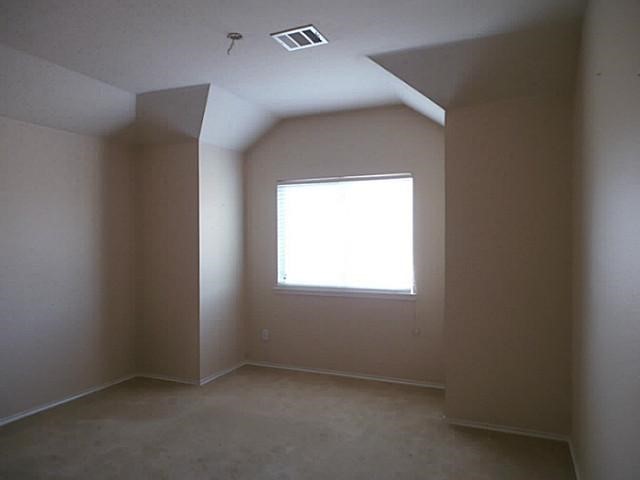 9841 Wild Ginger Drive Mckinney TX 75072