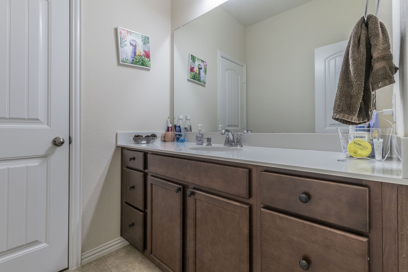 1109 Mist Flower Drive Little Elm TX 75068
