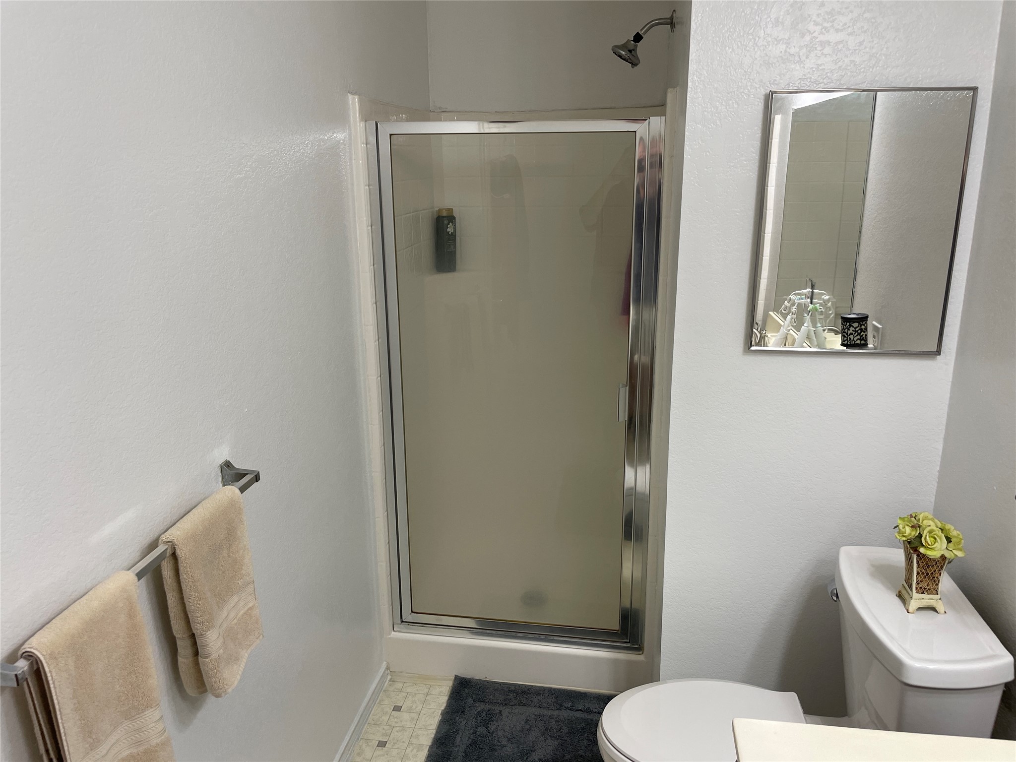 2229 Birch Drive Little Elm TX 75068