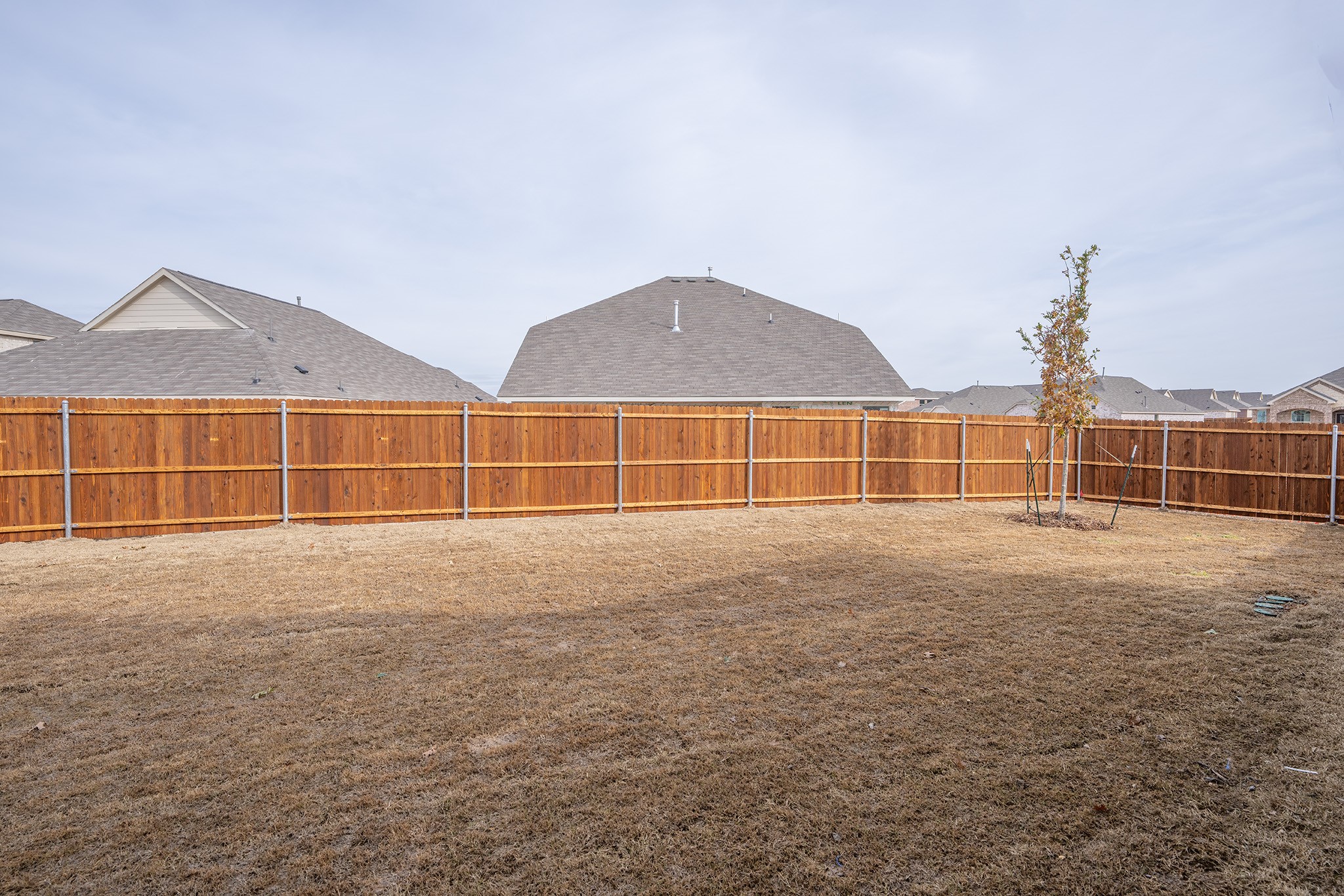 3612 Great Egret Way Mckinney TX 75071