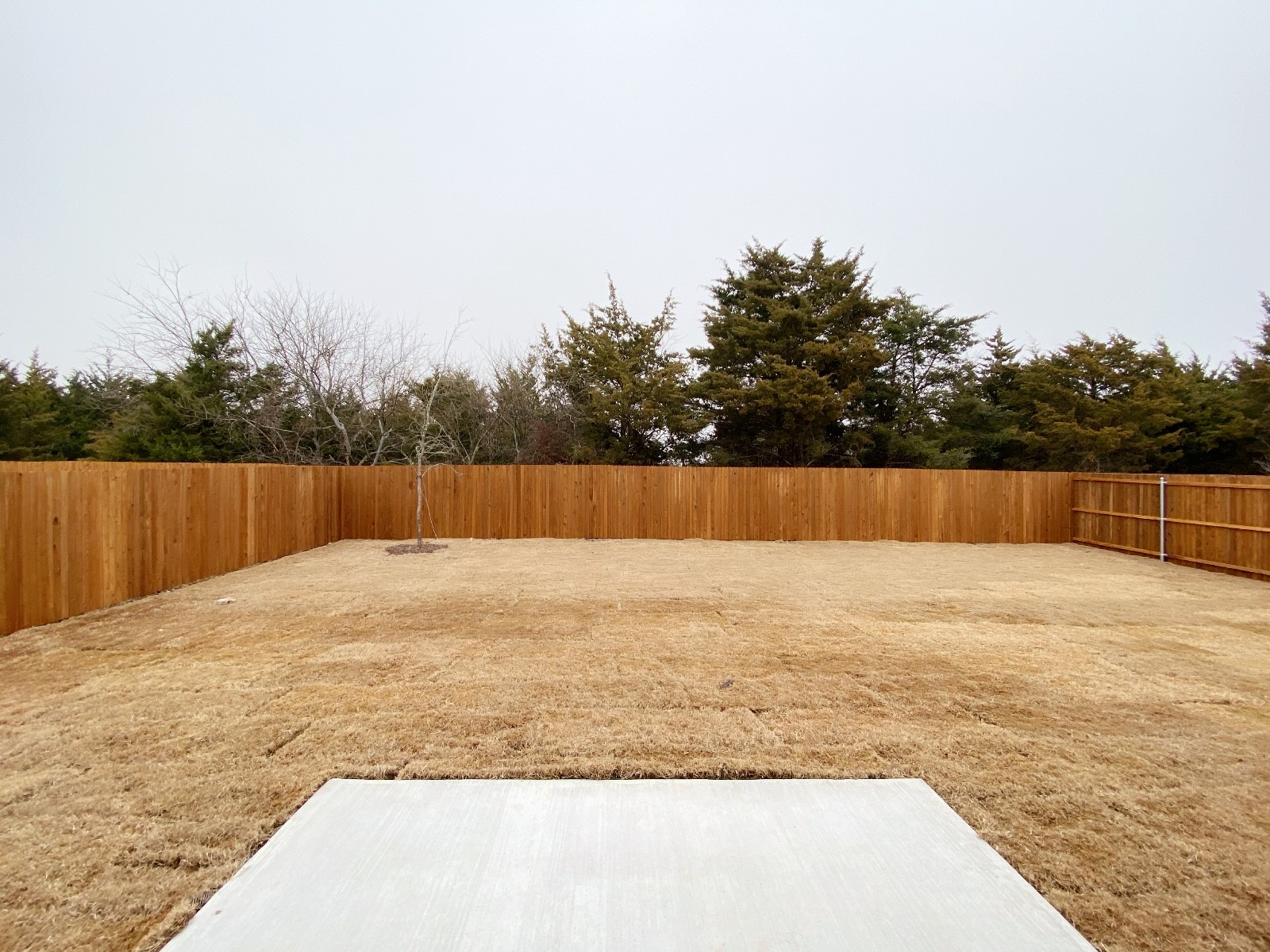 413 Indian Creek Anna TX 75409