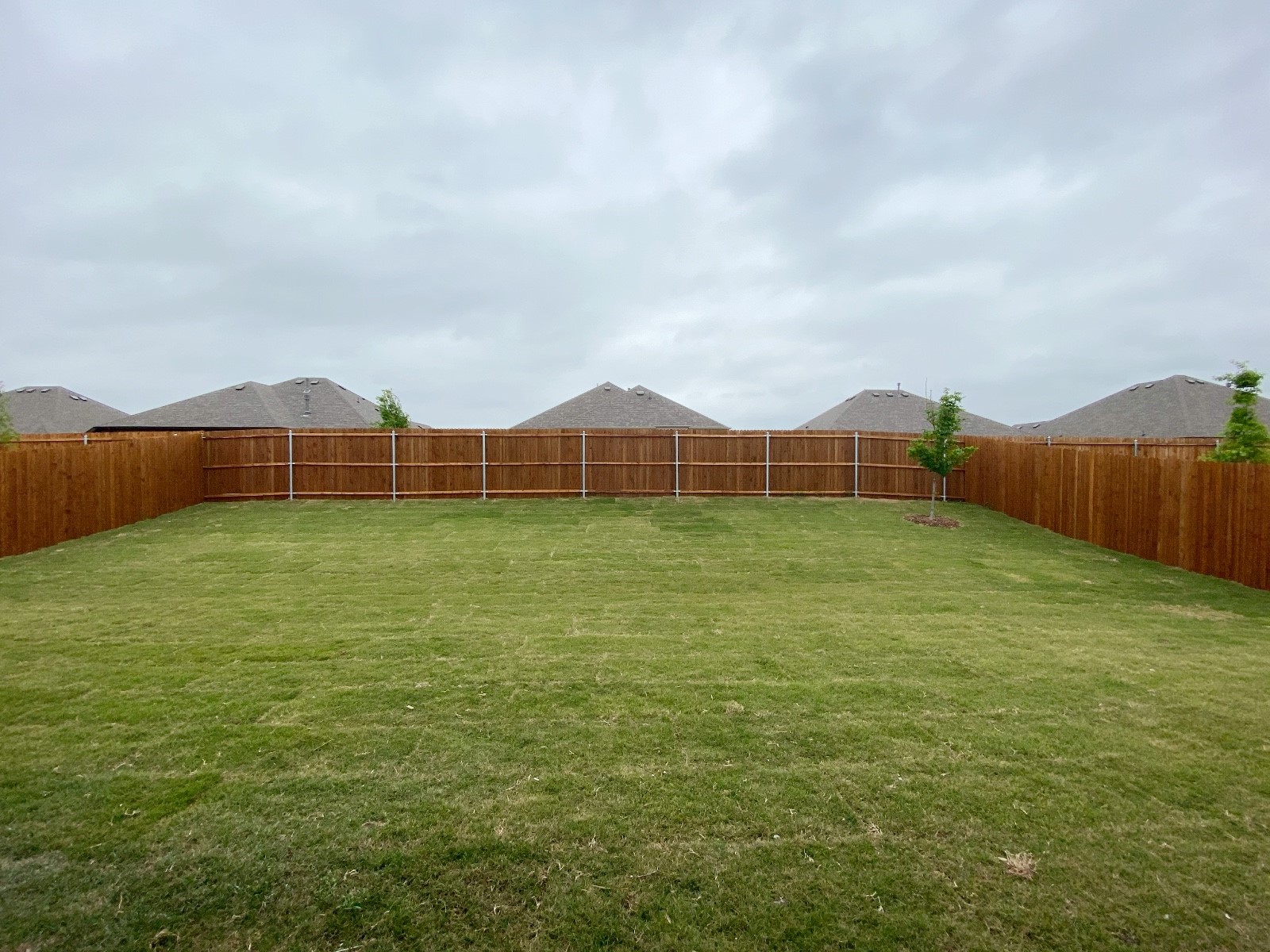 3101 Razorback Street Melissa TX 75454