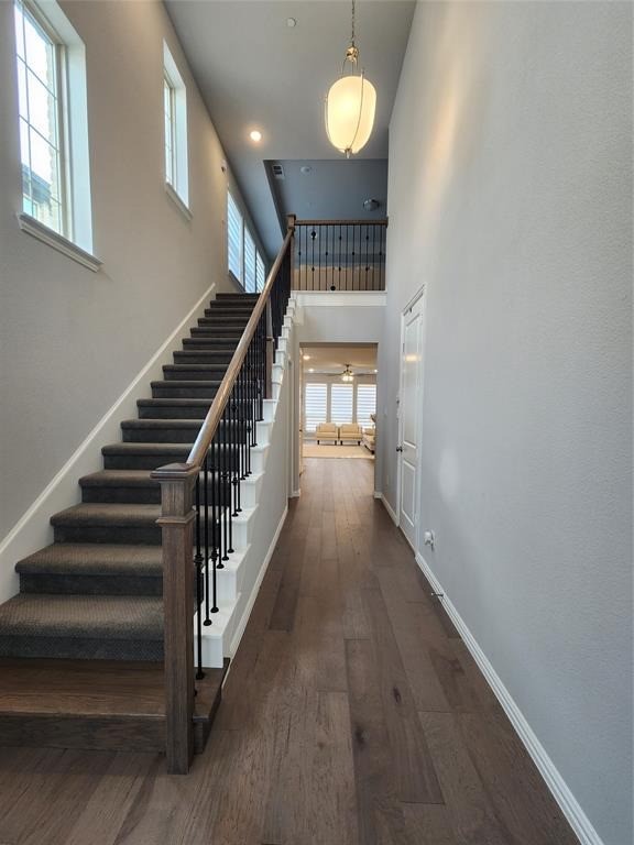 3905 Lady Bettye Drive Lewisville TX 75056
