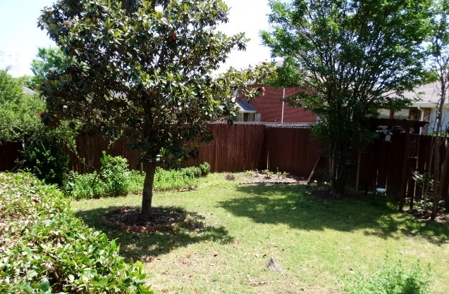 15785 Scenic Road Frisco TX 75035
