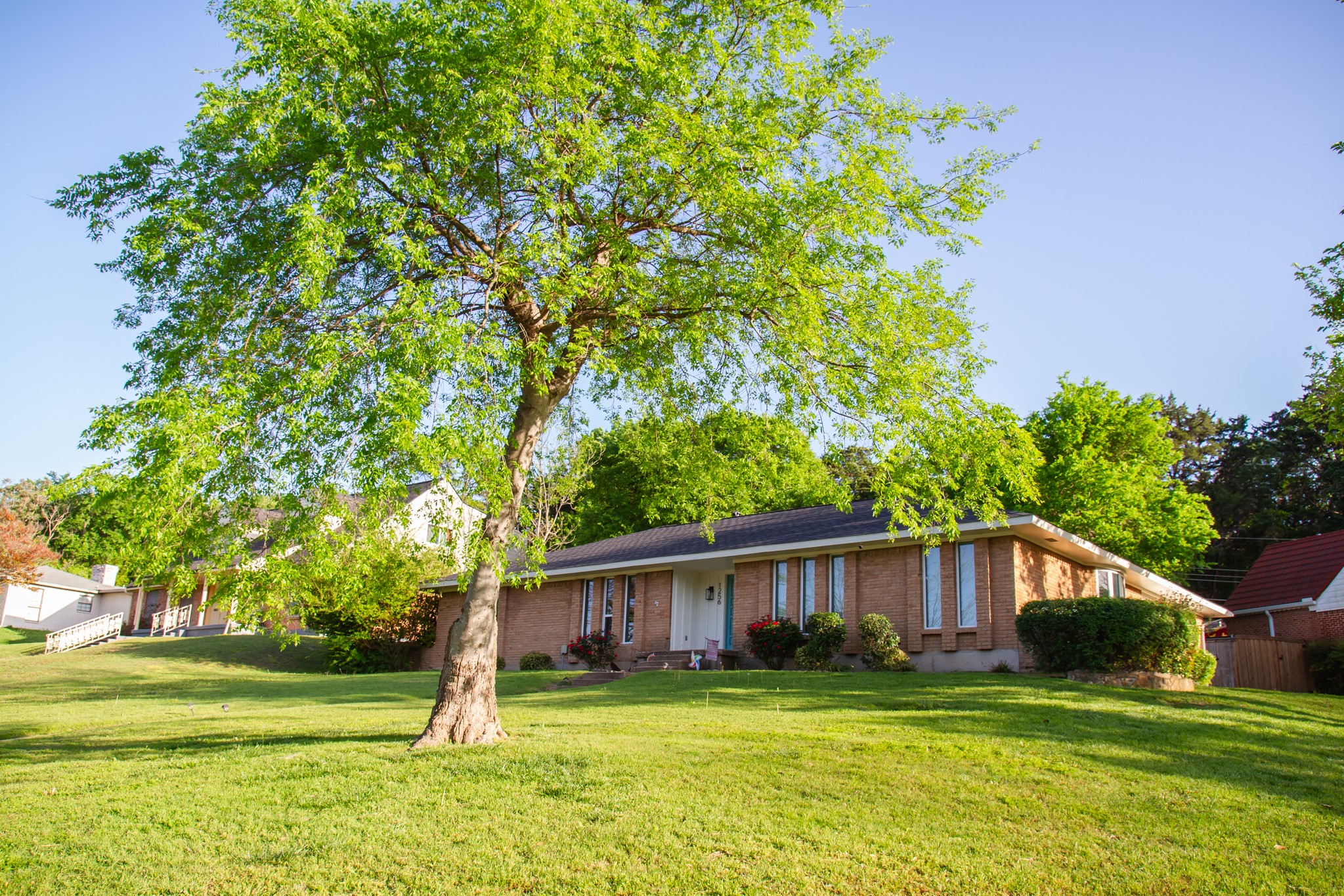 1256 Golden Trophy Drive Dallas TX 75232