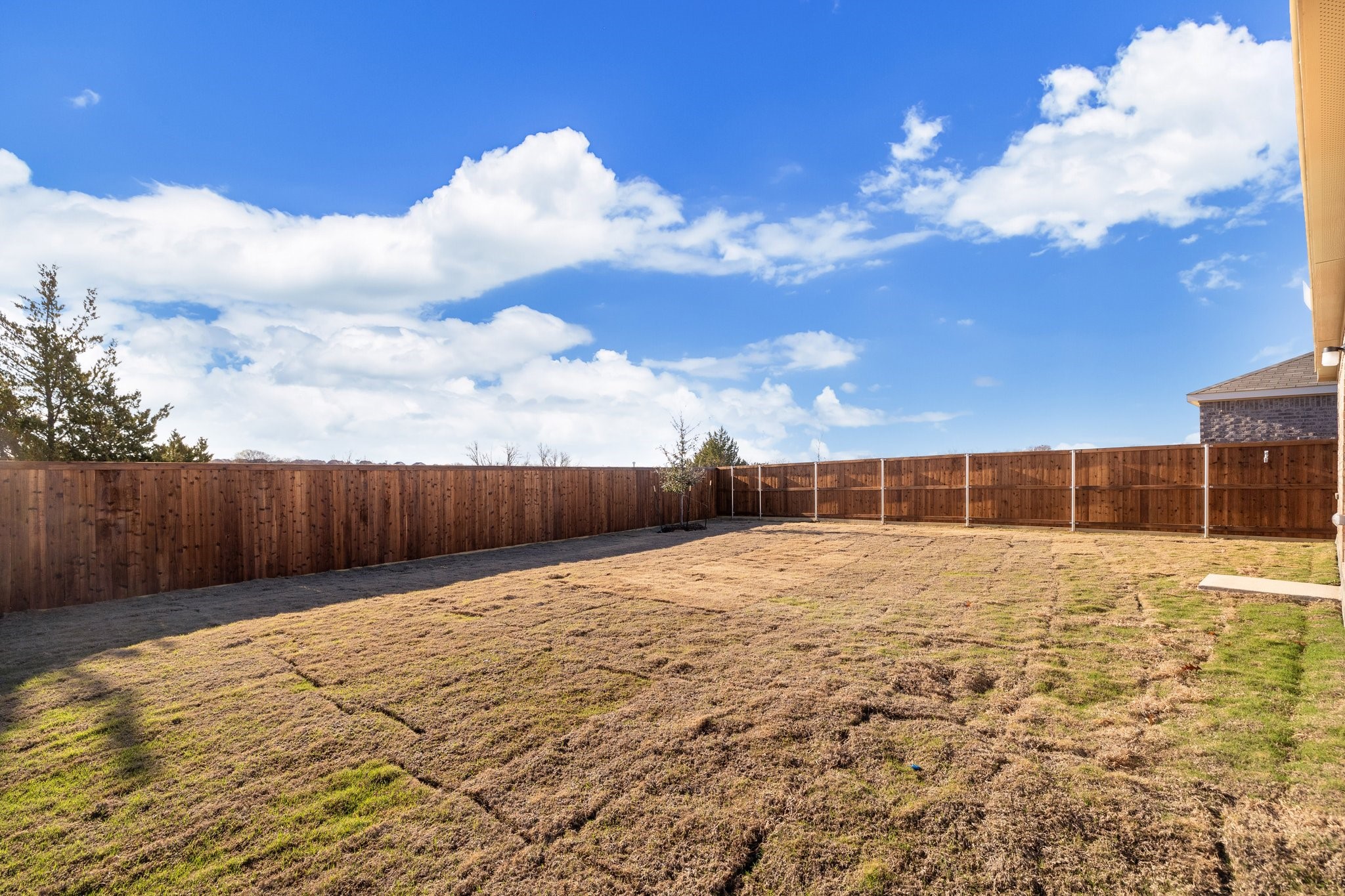 1613 Vattier Street Little Elm TX 75068