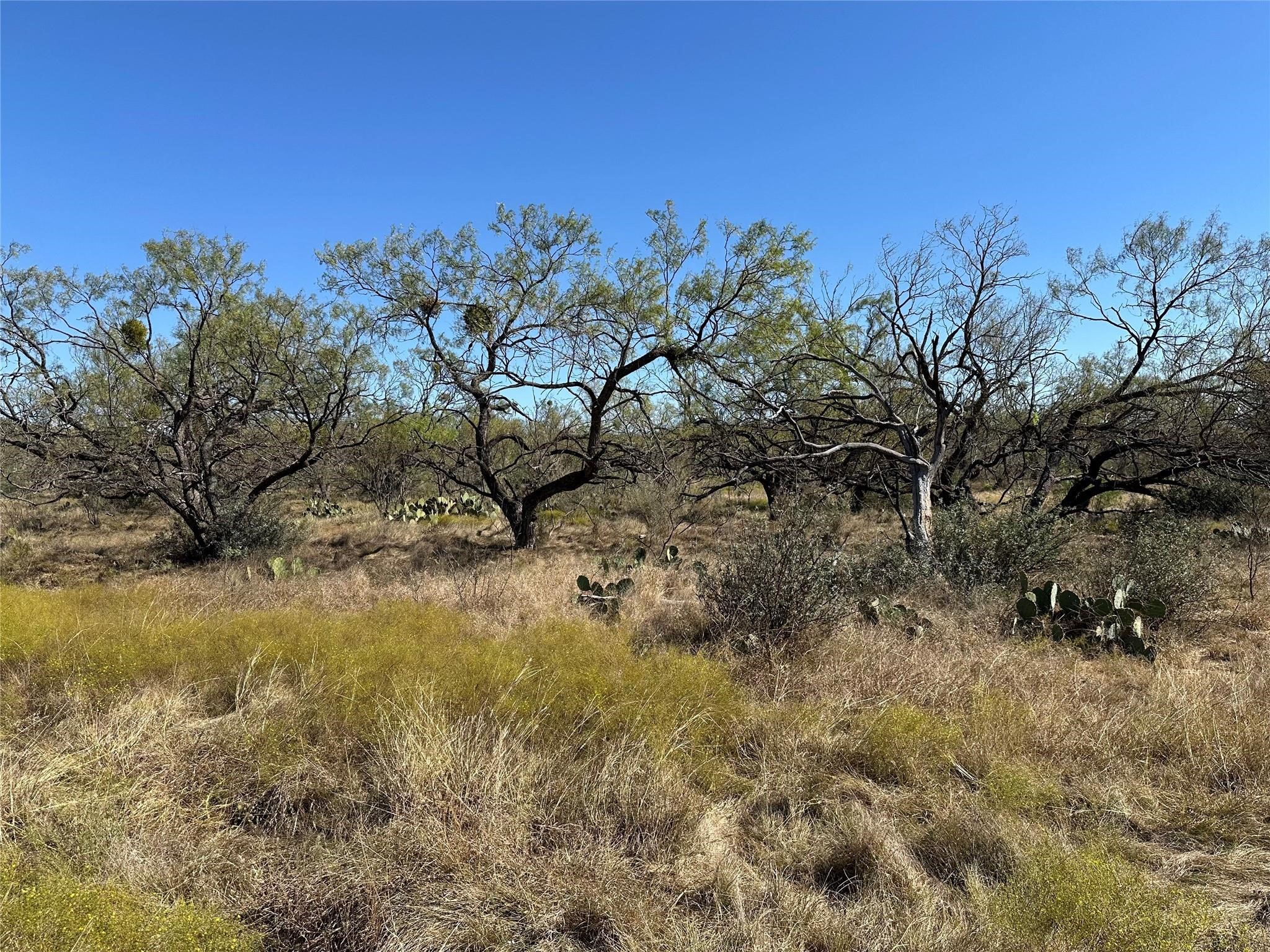11101 County Road 228 Brownwood TX 76801