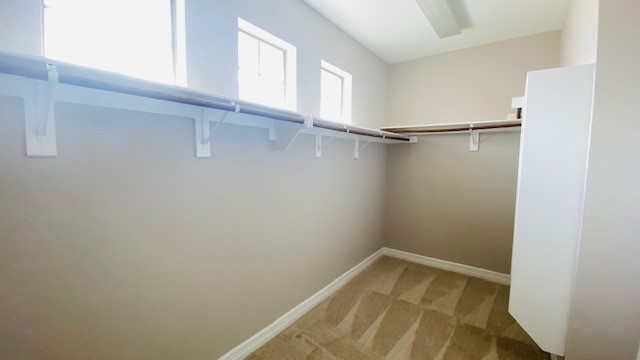 6504 Diamond Drive Mckinney TX 75070