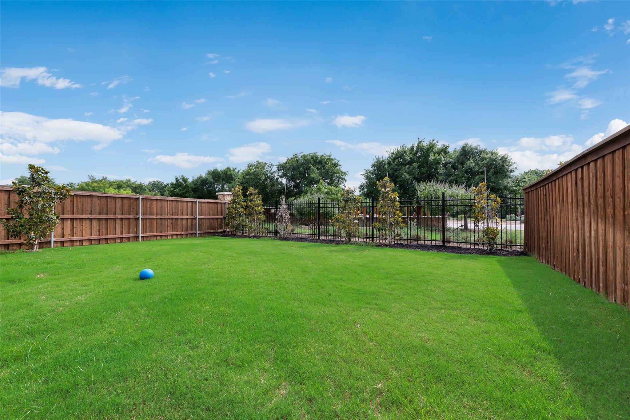 3132 Cliff Swallow Lane Arlington TX 76005