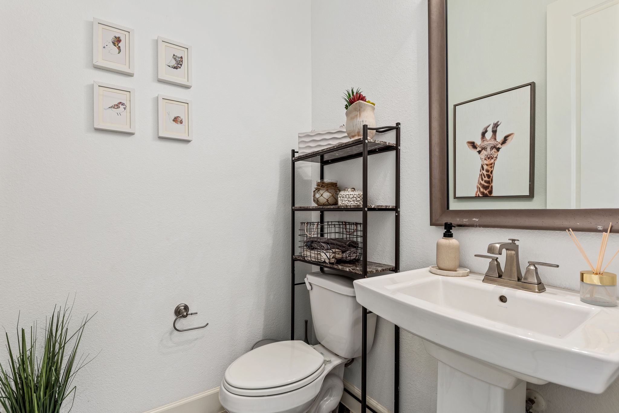 7205 Caladium Drive Mckinney TX 75070