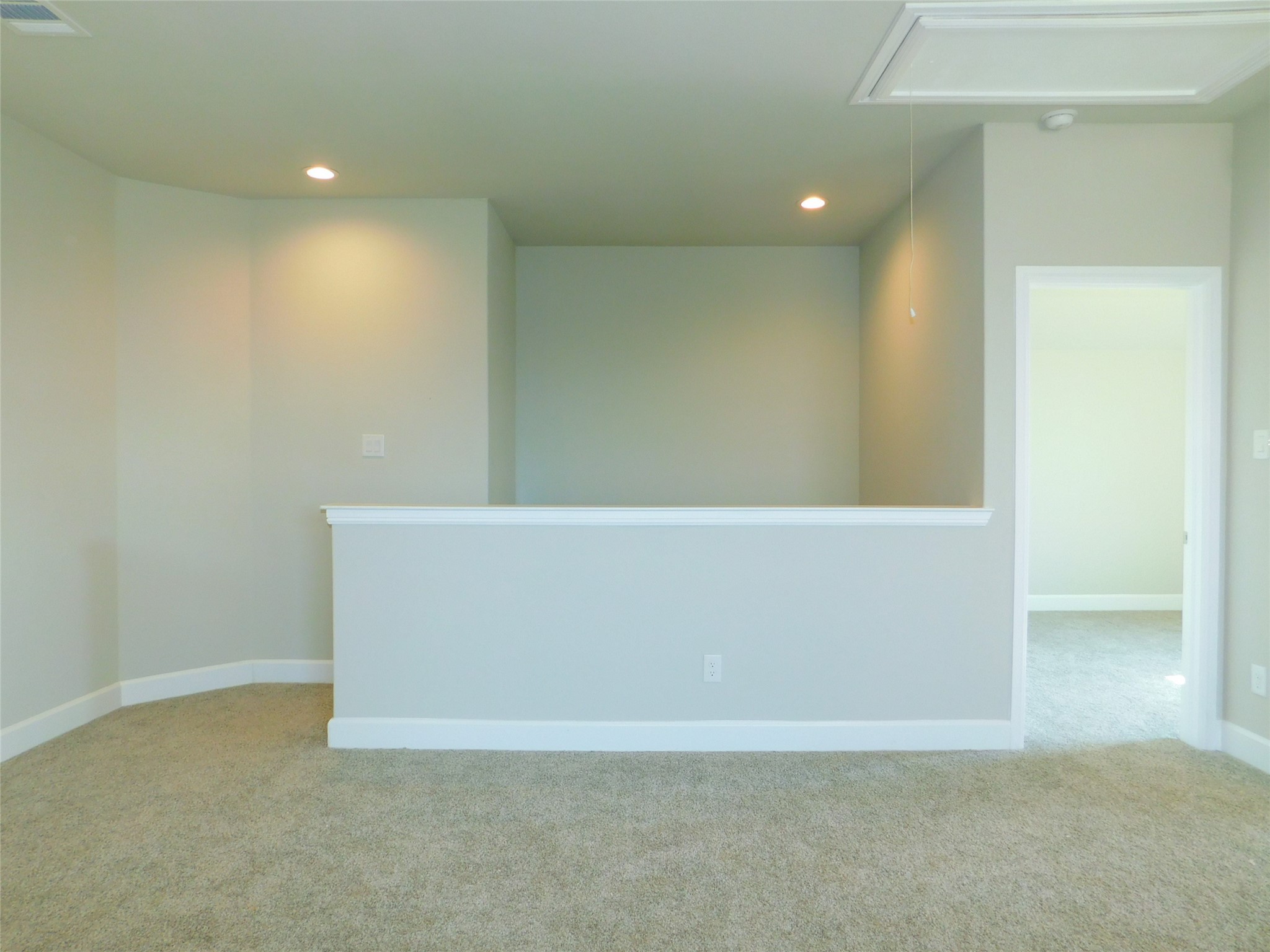 1021 Pitch Pine Street Hickory Creek TX 75065