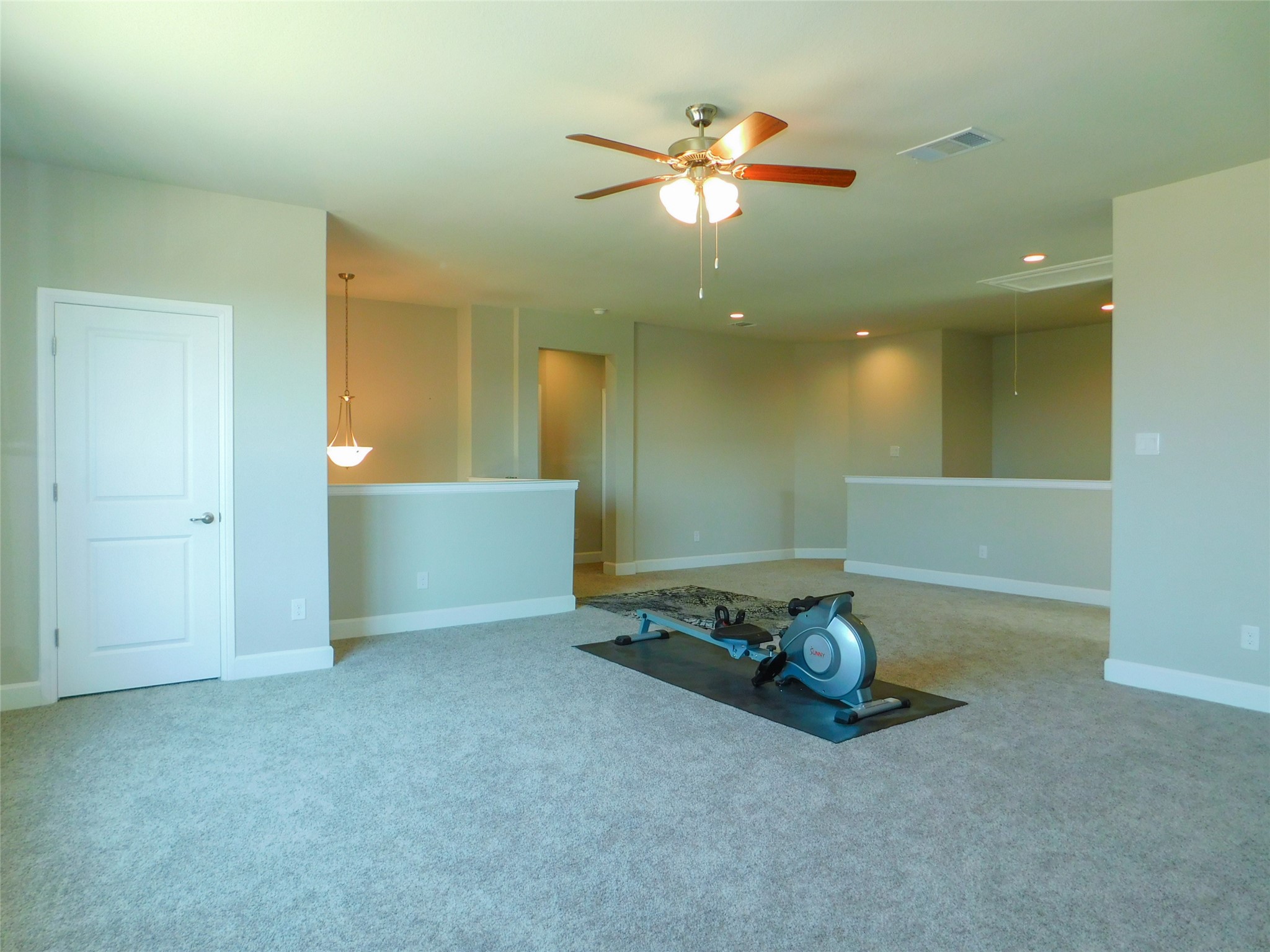 1021 Pitch Pine Street Hickory Creek TX 75065