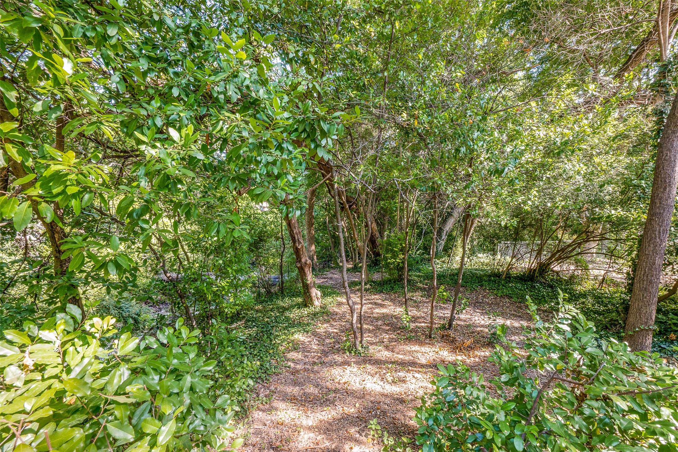 2314 Springhill Drive Dallas TX 75228