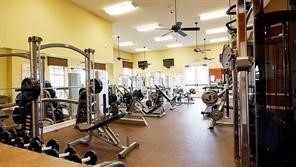 126 Wilmington Drive Fate TX 75189