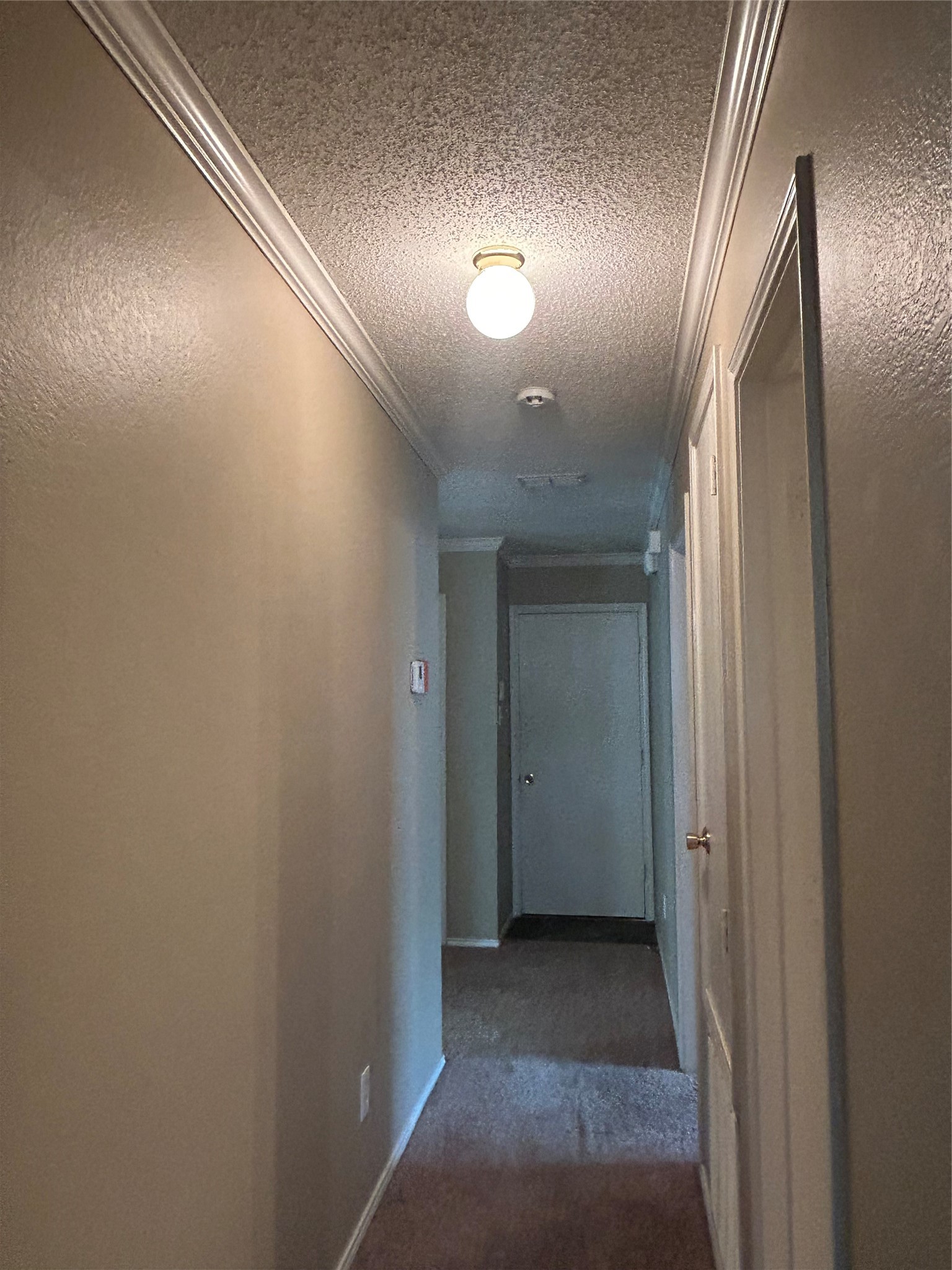 5416 Comanche Wells Drive Mckinney TX 75071