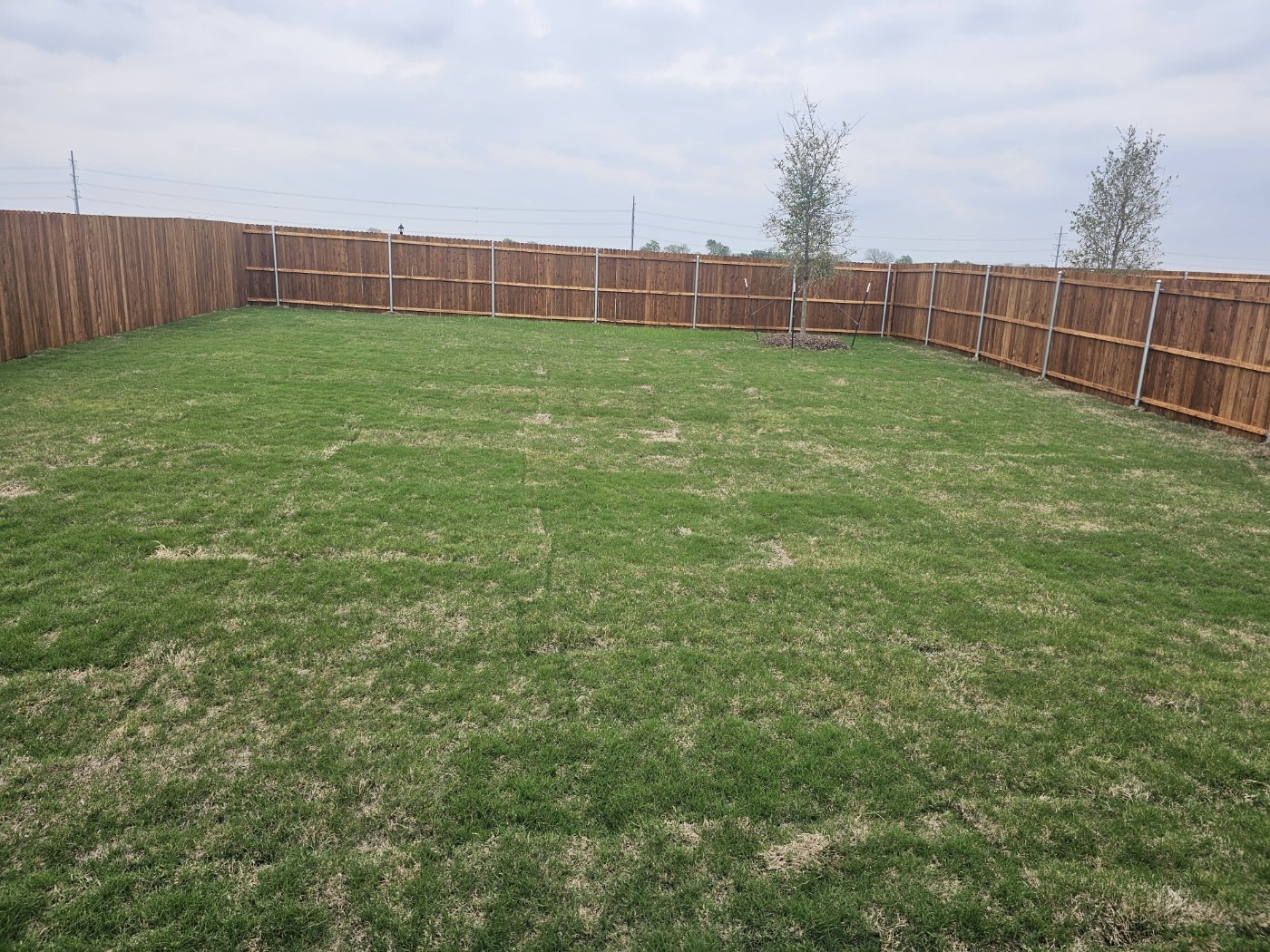 7966 Gus Wilson Drive Mckinney TX 75071